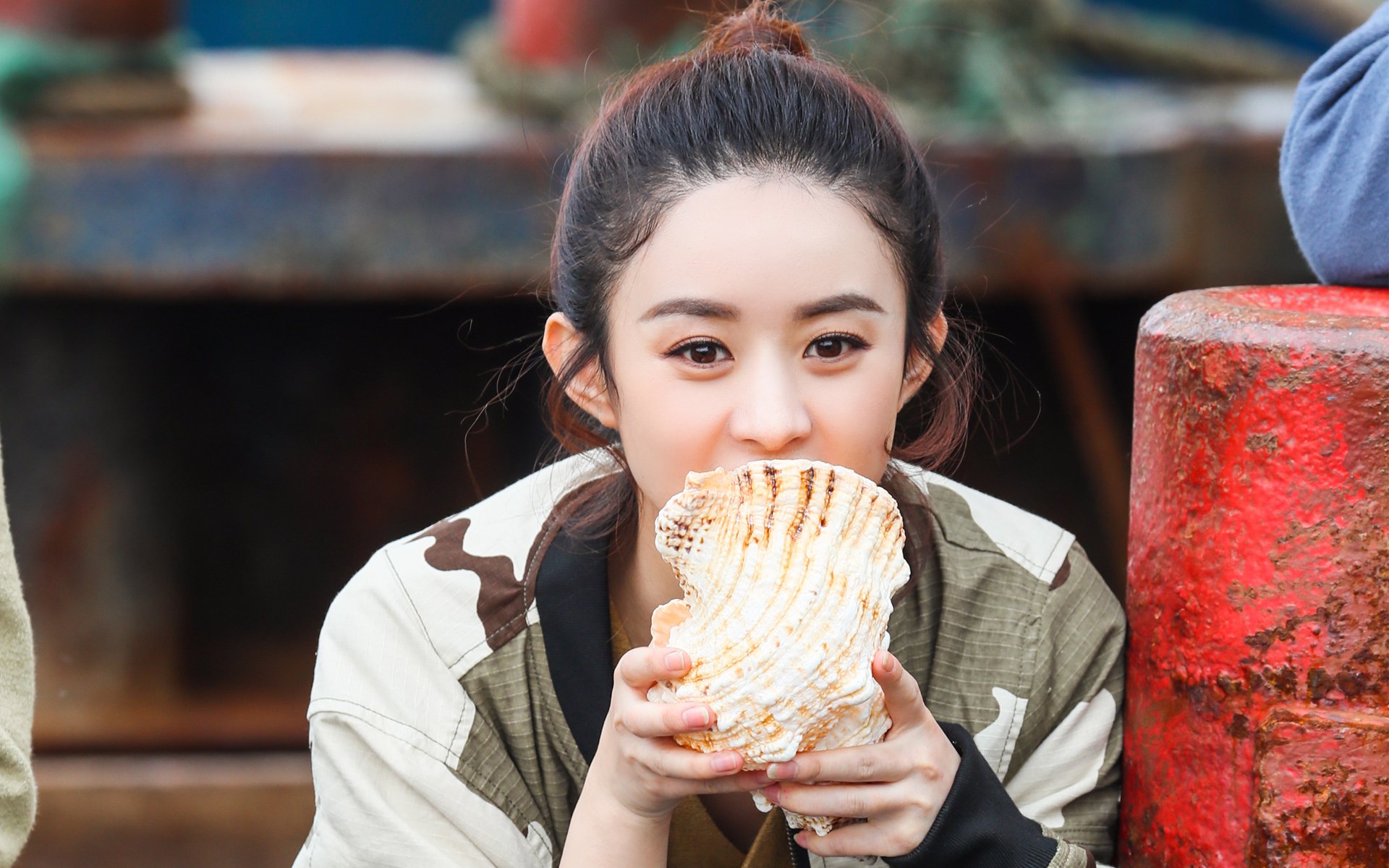 赵丽颖,明星,女星