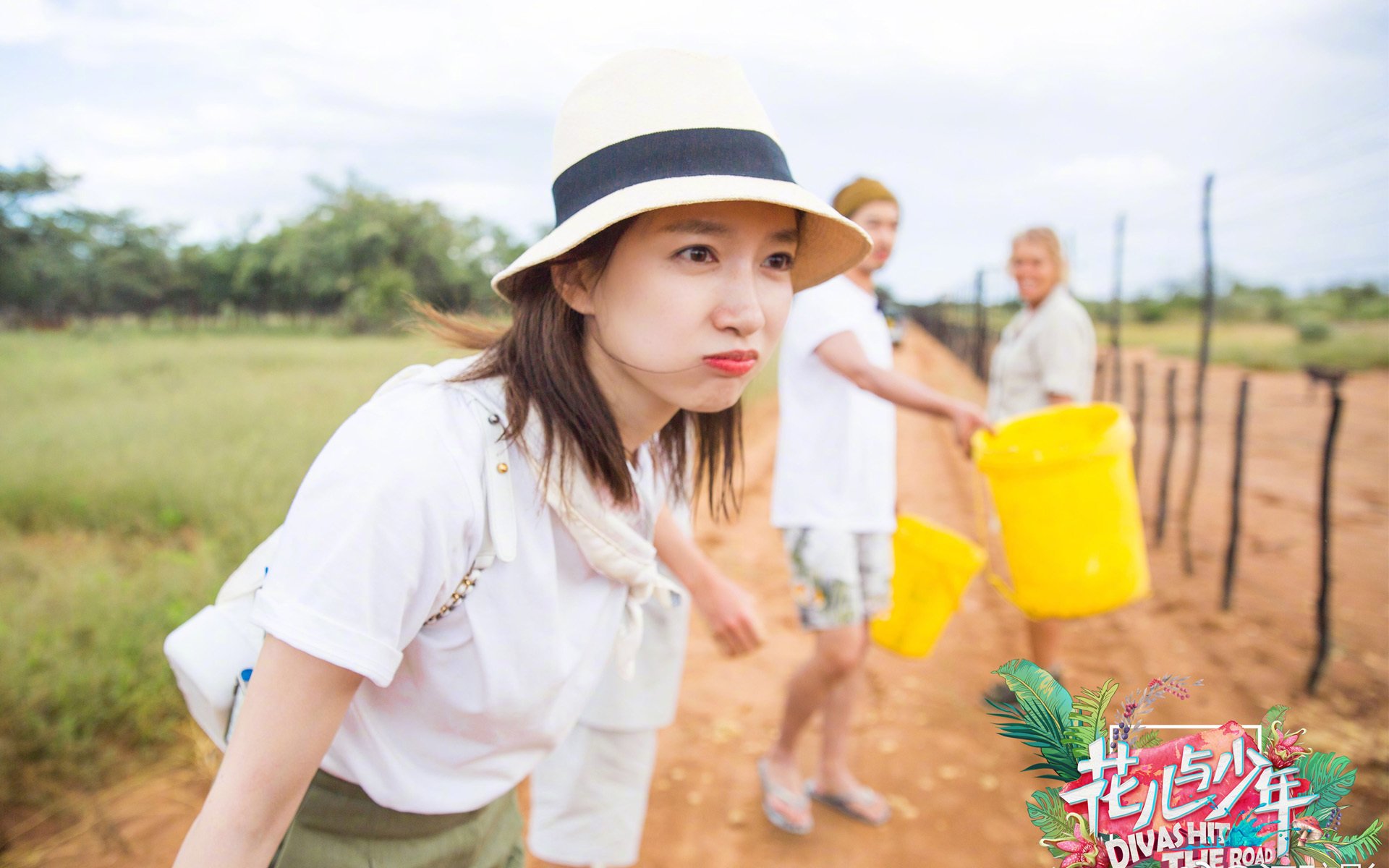 江疏影,花儿与少年