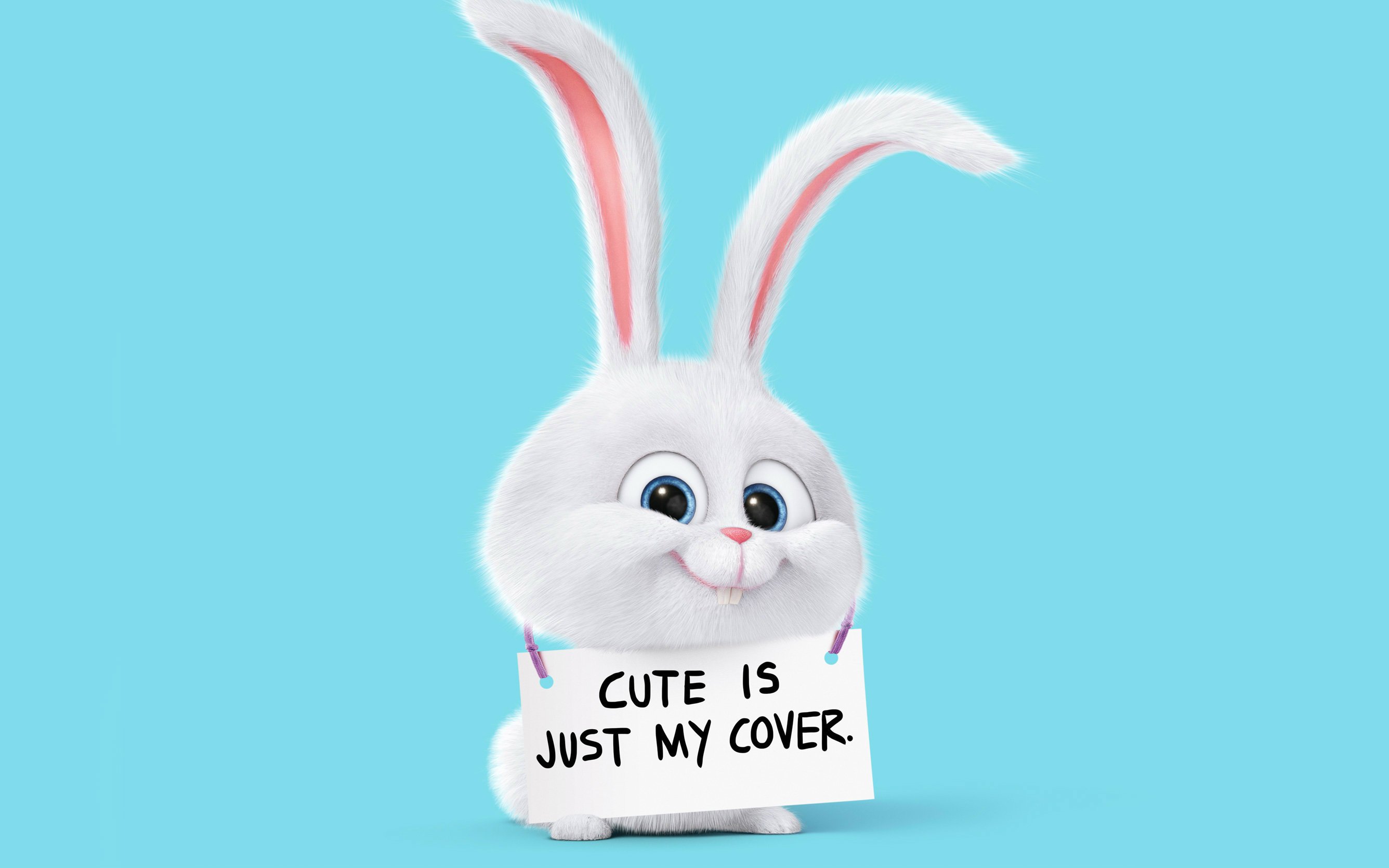 爱宠大机密,兔子