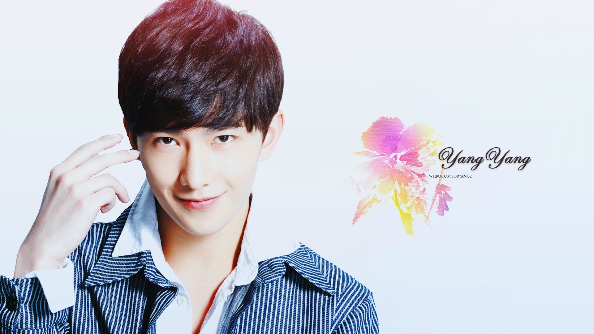 明星,大陆明星,杨洋