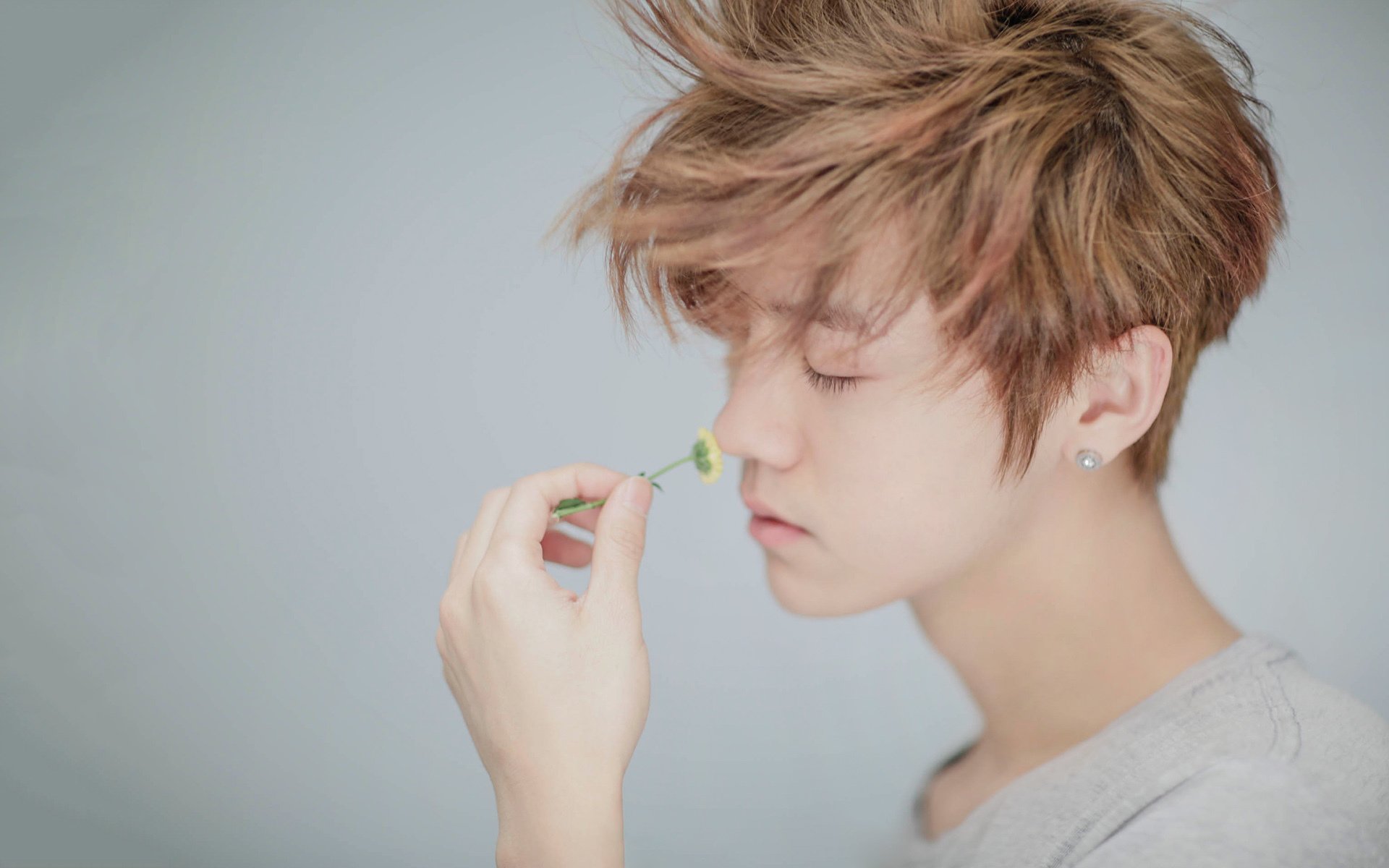 明星,大陆,鹿晗