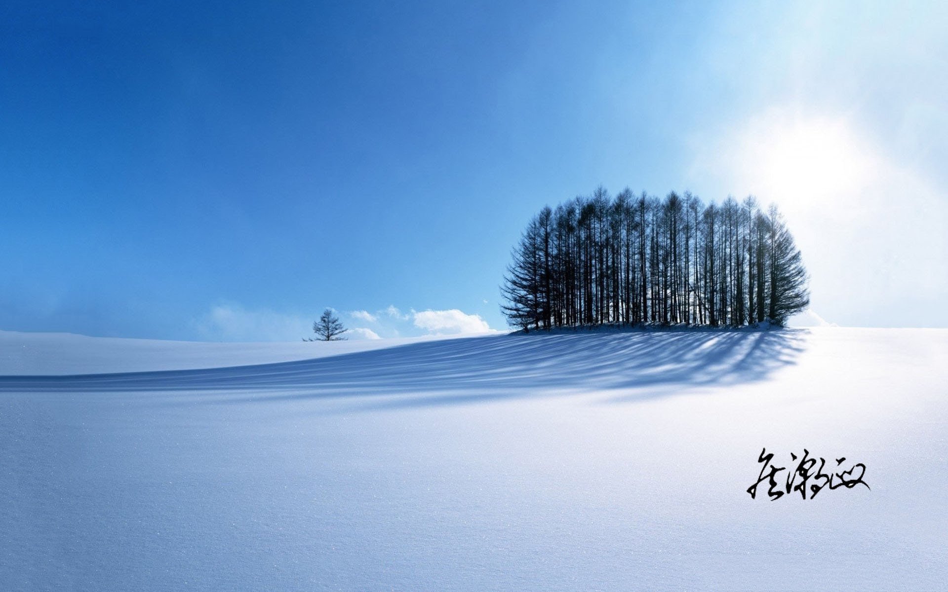 风景,雪原,冬季