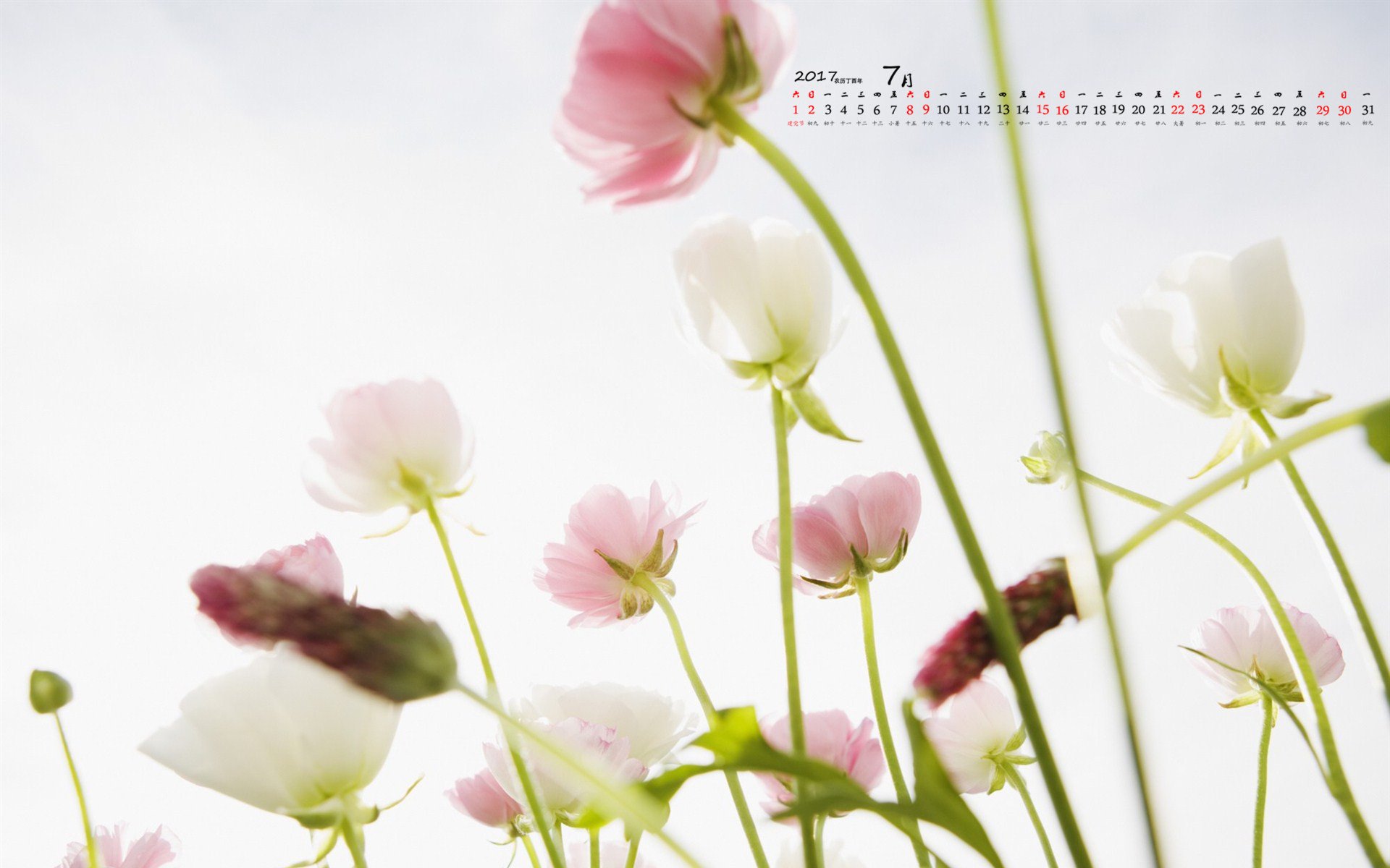 月历,2017年7月