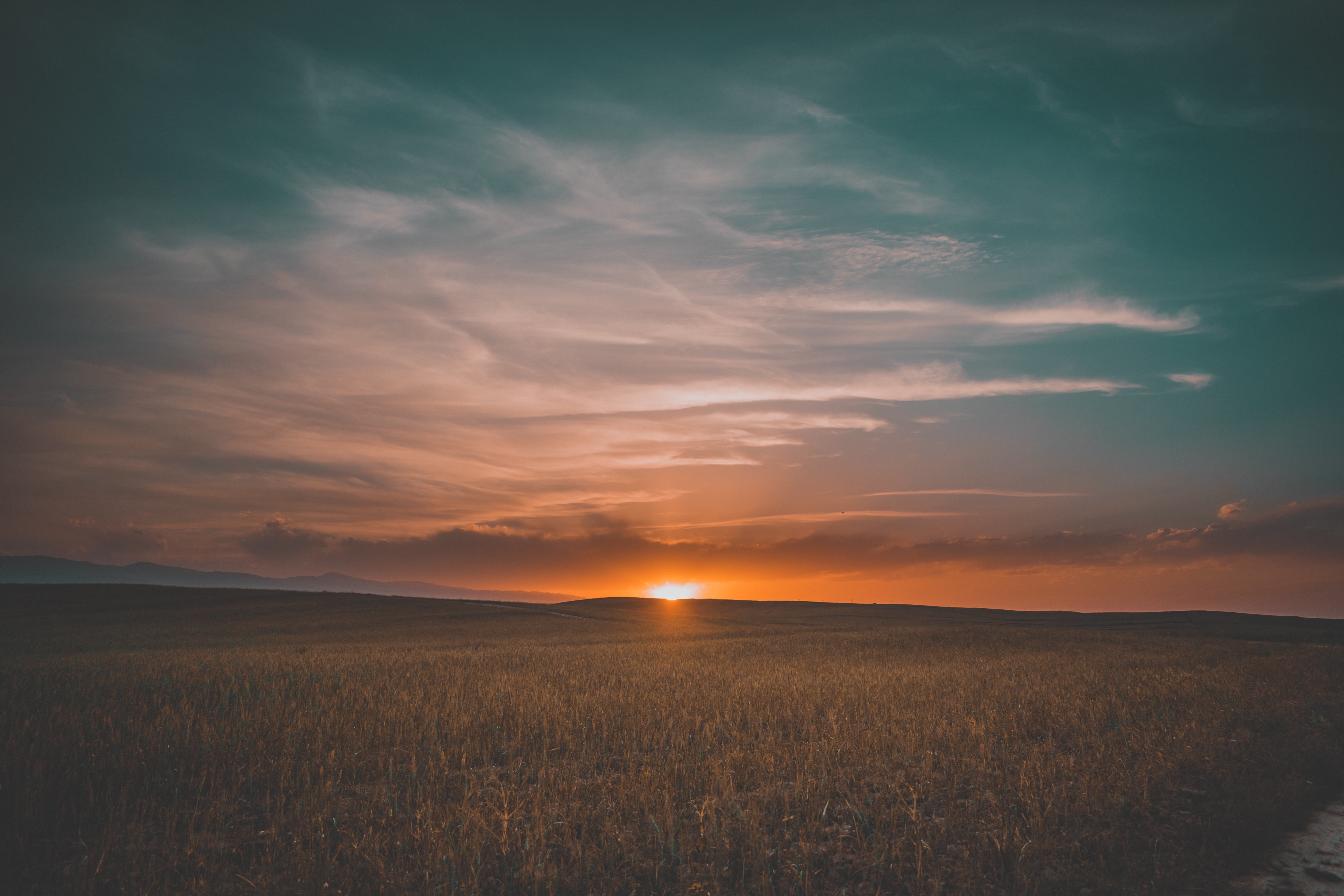 4K,夕阳,草原,草地