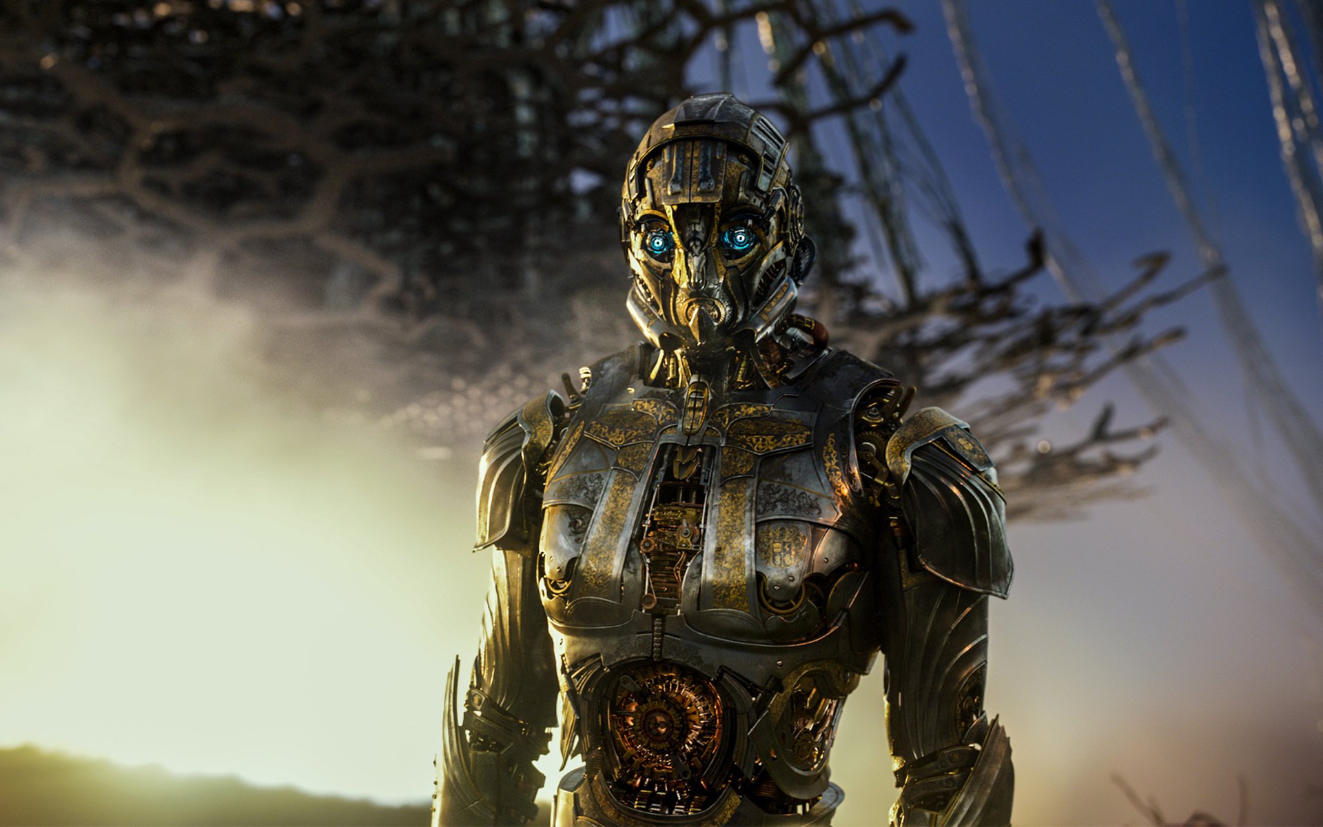 影视,电影,变形金刚5