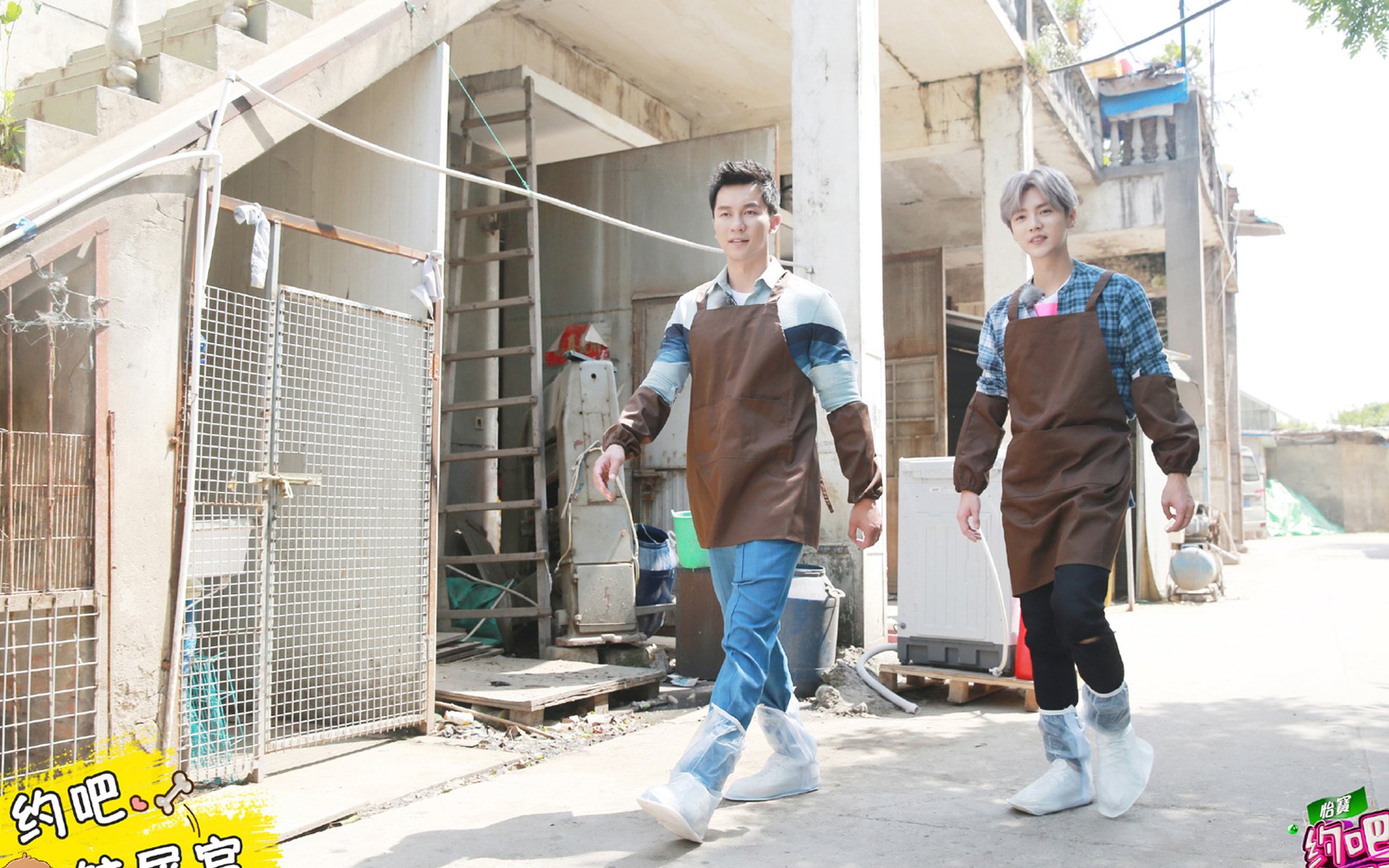 鹿晗,李晨,约吧大明星