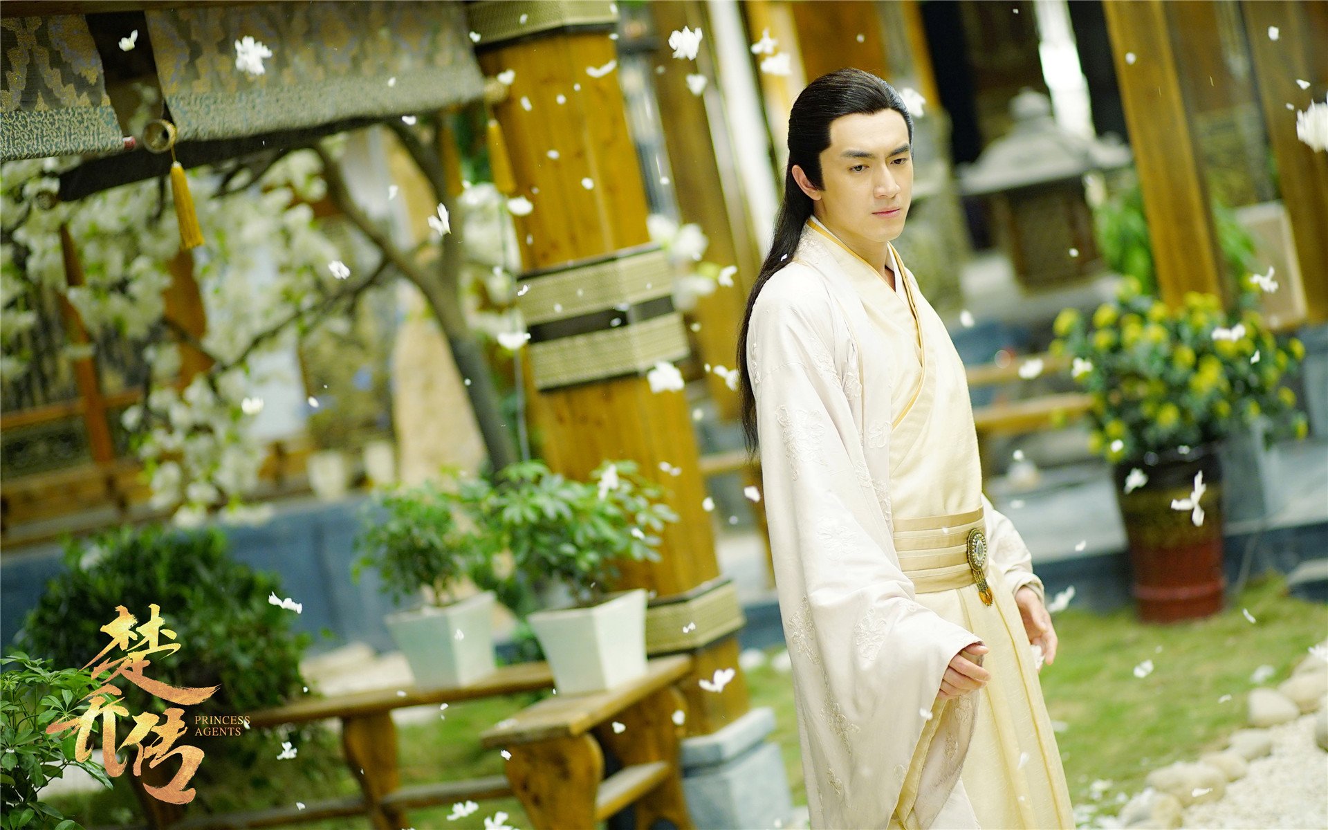 影视,电视剧,楚乔传,林更新