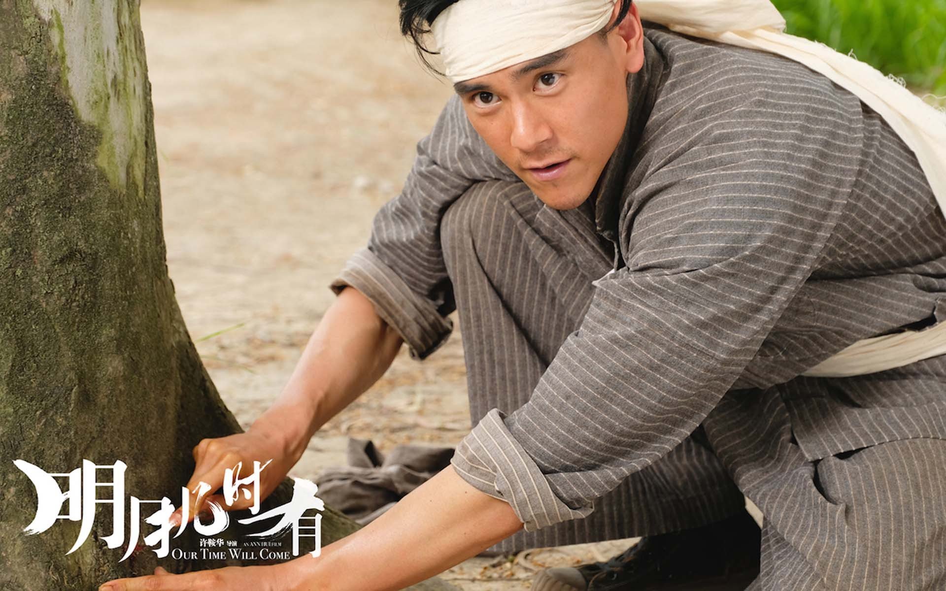 影视,电影,明月几时有,彭于晏