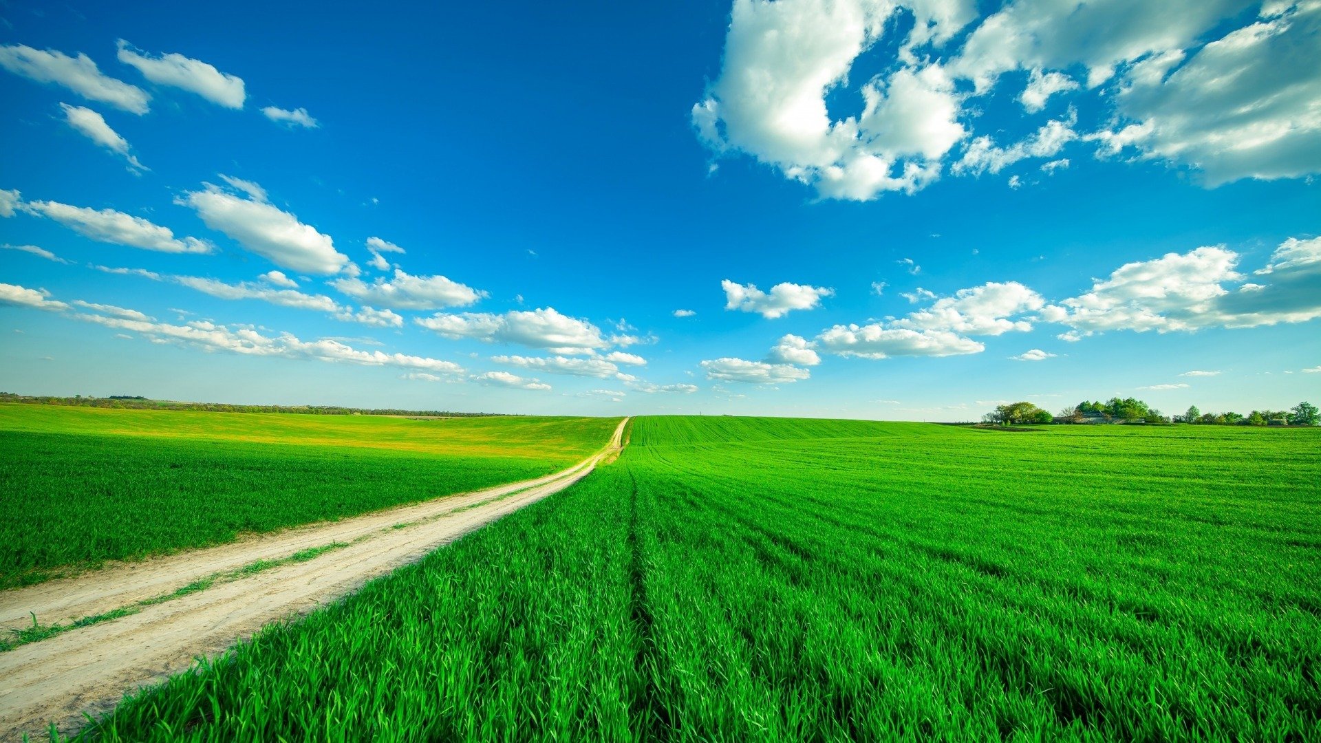 小清新,护眼壁纸,草原,蓝天,白云