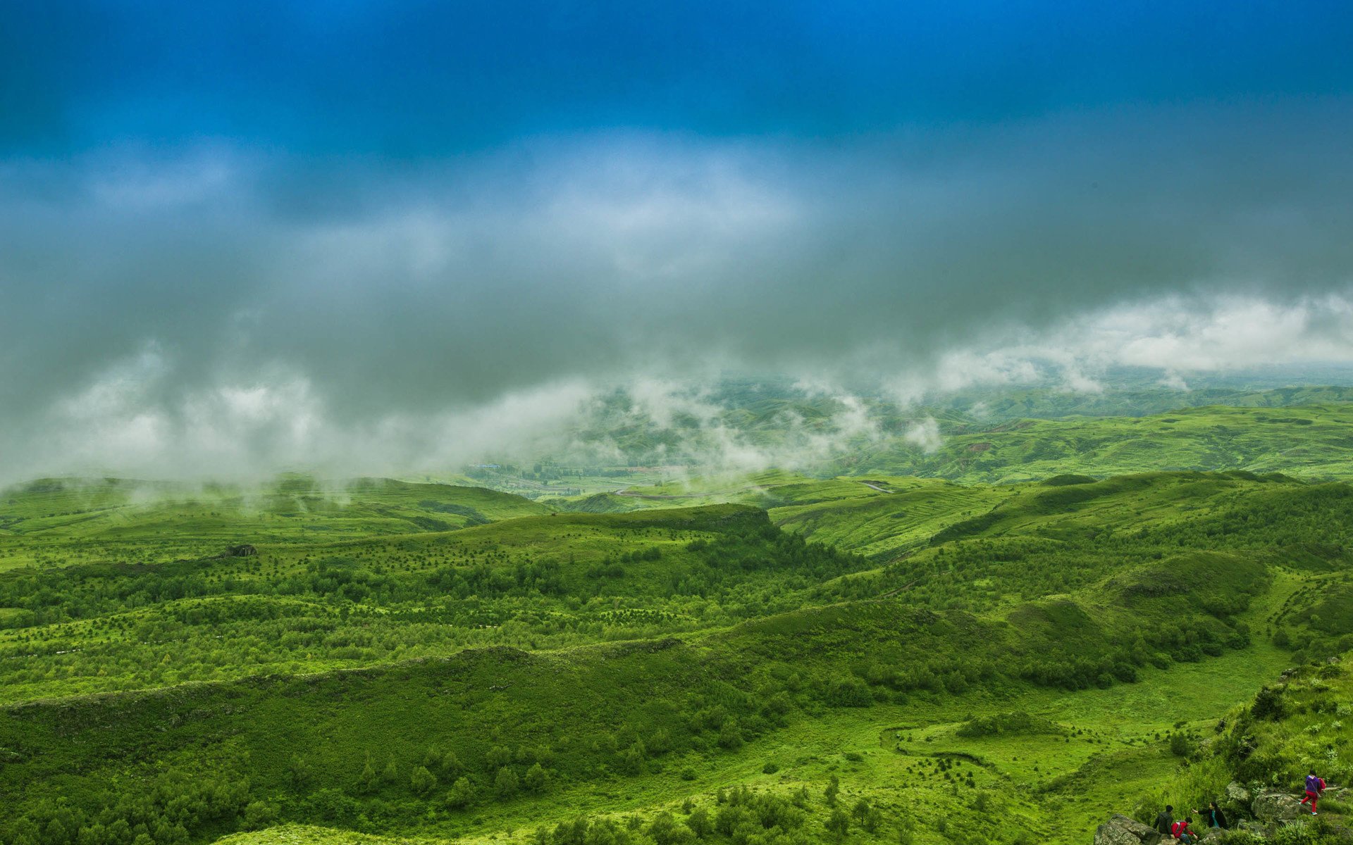 小清新,护眼壁纸,草原,绿色