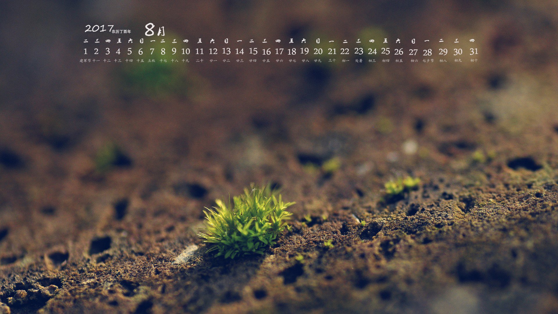 月历,2017年8月