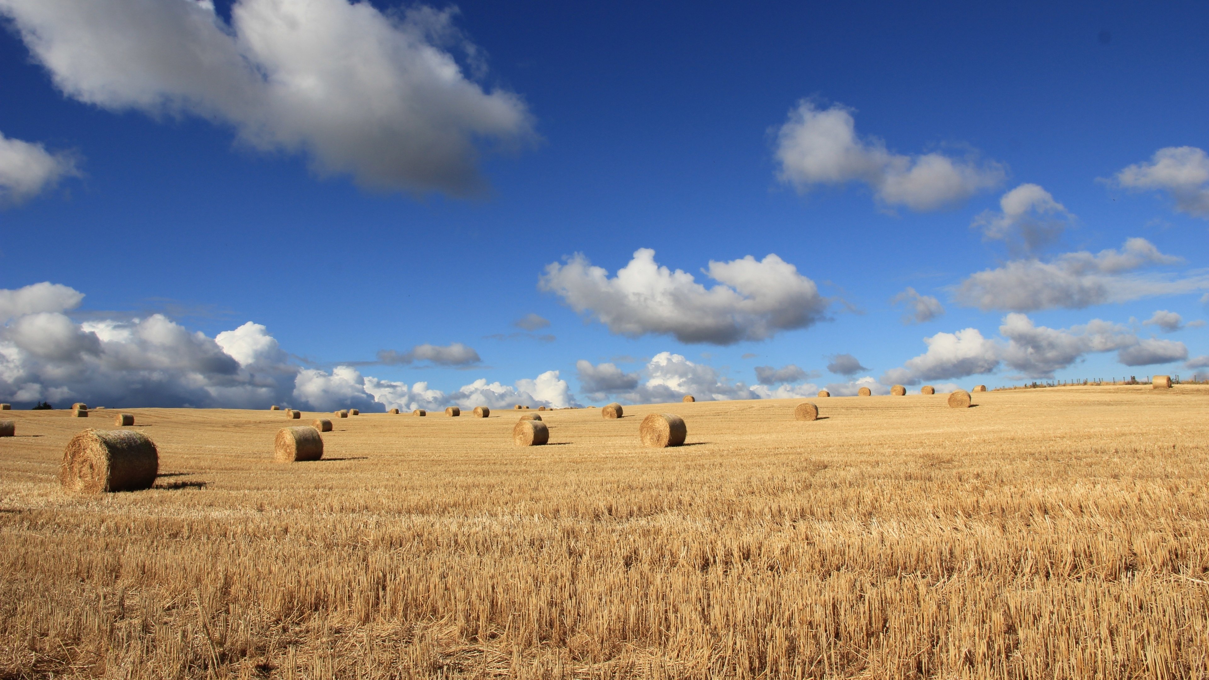 4K,风景,蓝天,白云,草垛