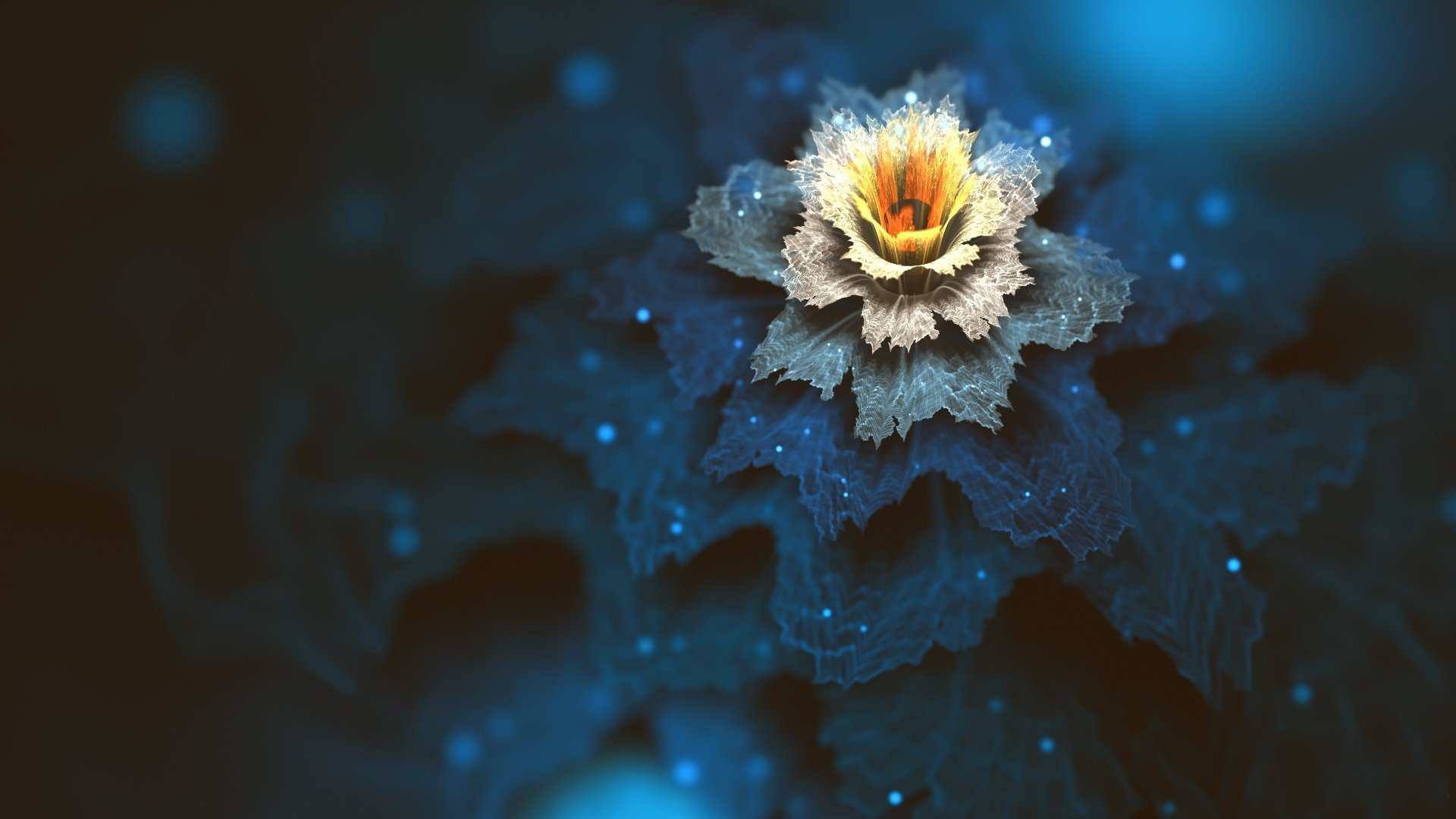 炫酷时尚,花朵,唯美