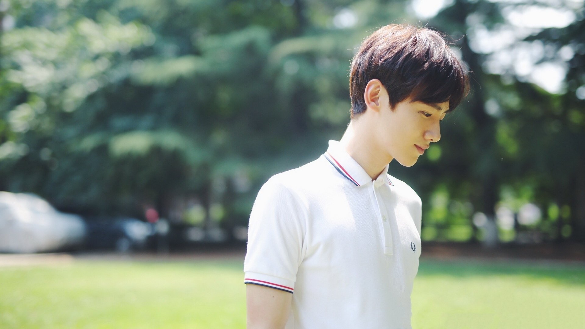 内地明星,白敬亭