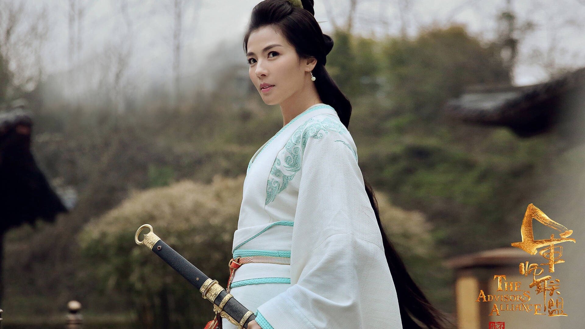 影视,电视剧,军师联盟,刘涛