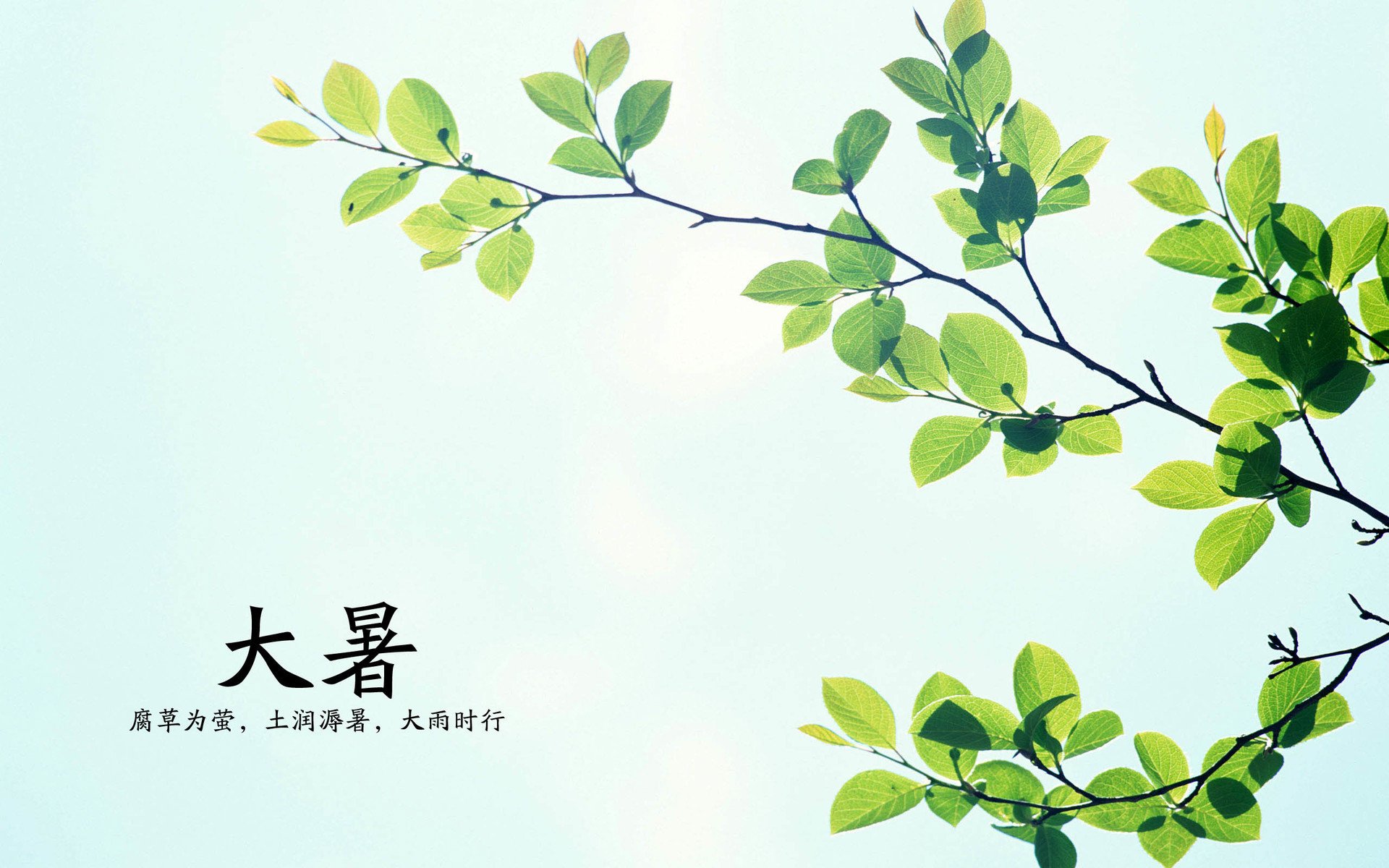 二十四节气,大暑