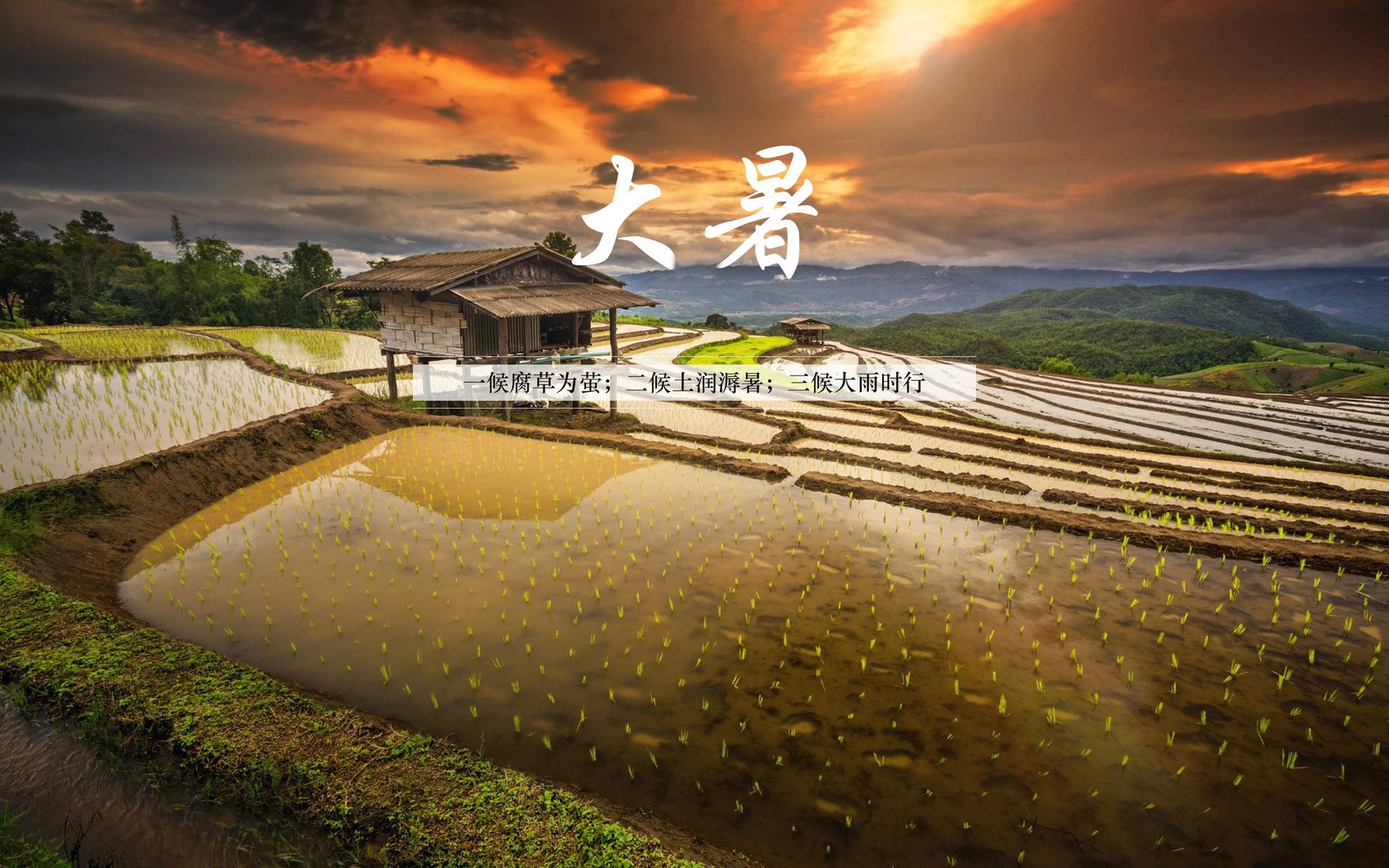 二十四节气,大暑