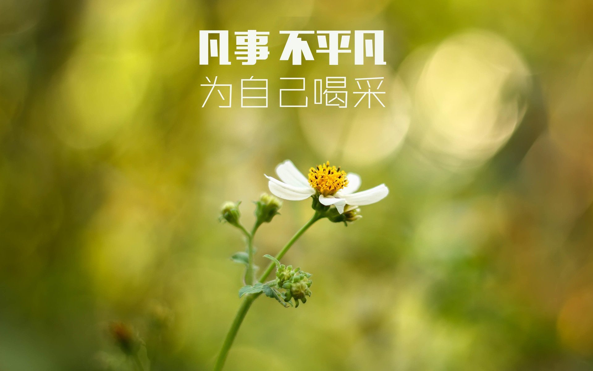 文字,励志,鼓励