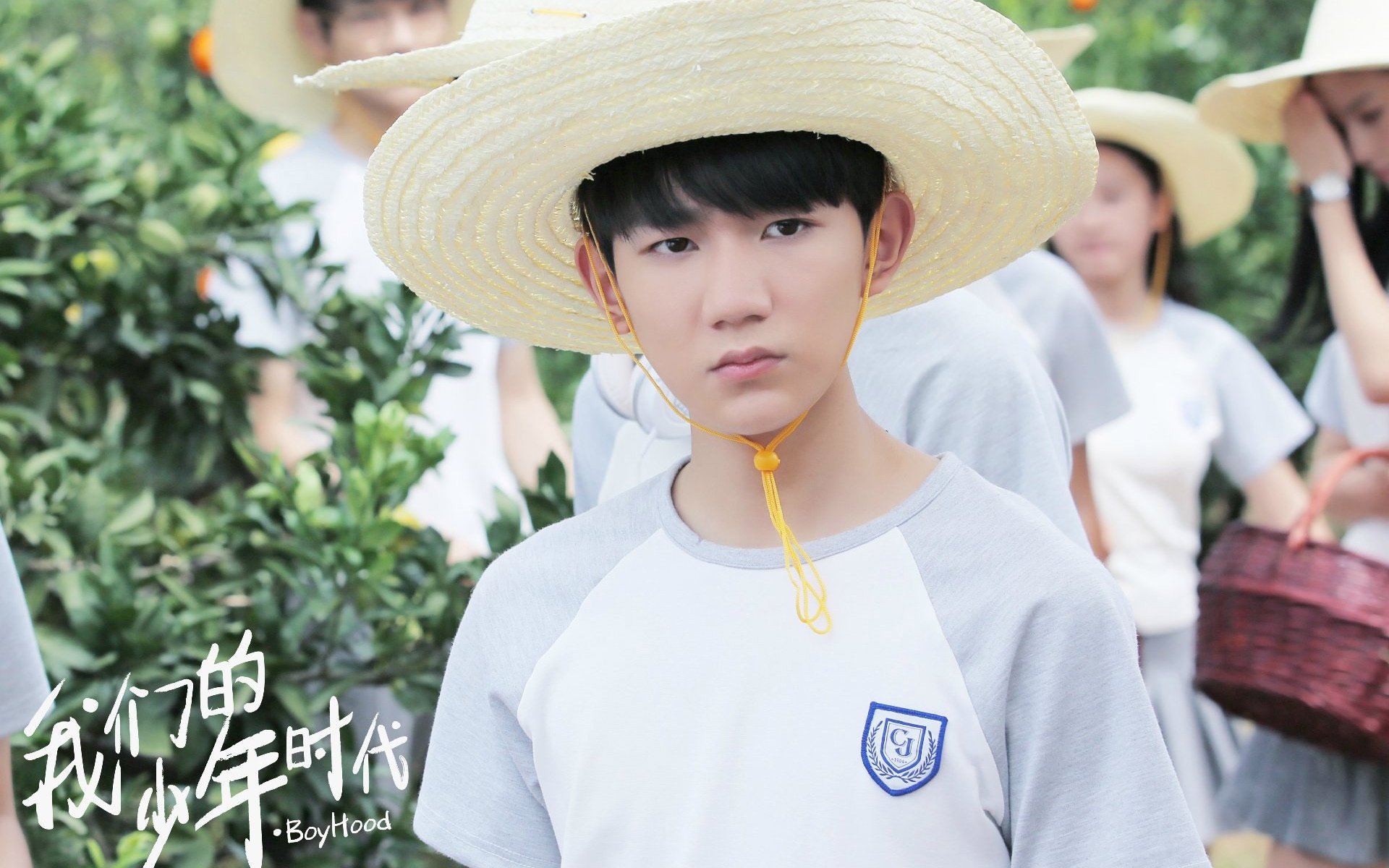 影视,电视剧,我的少年时代,王源,TFBOYS