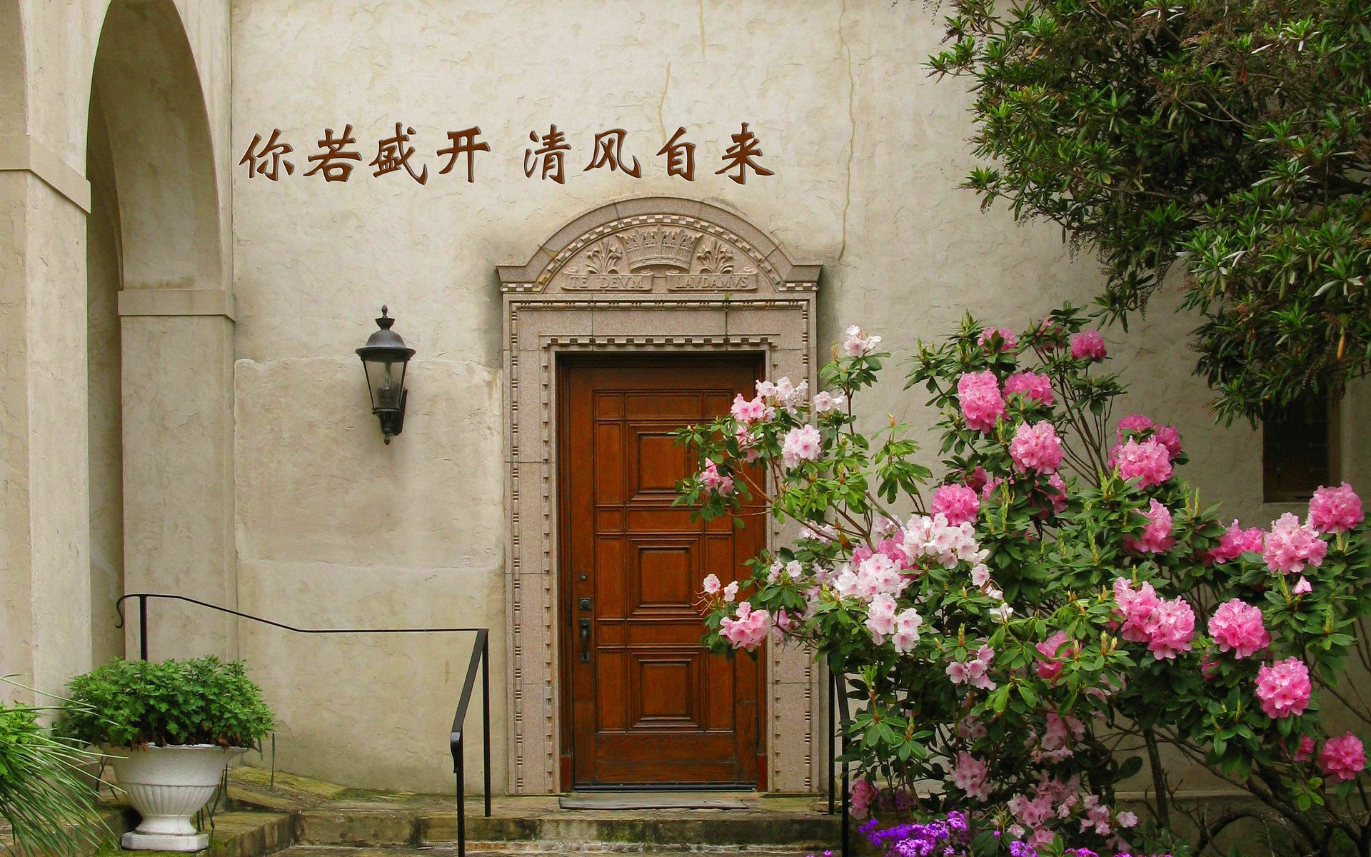 文字,你若盛开清风自来