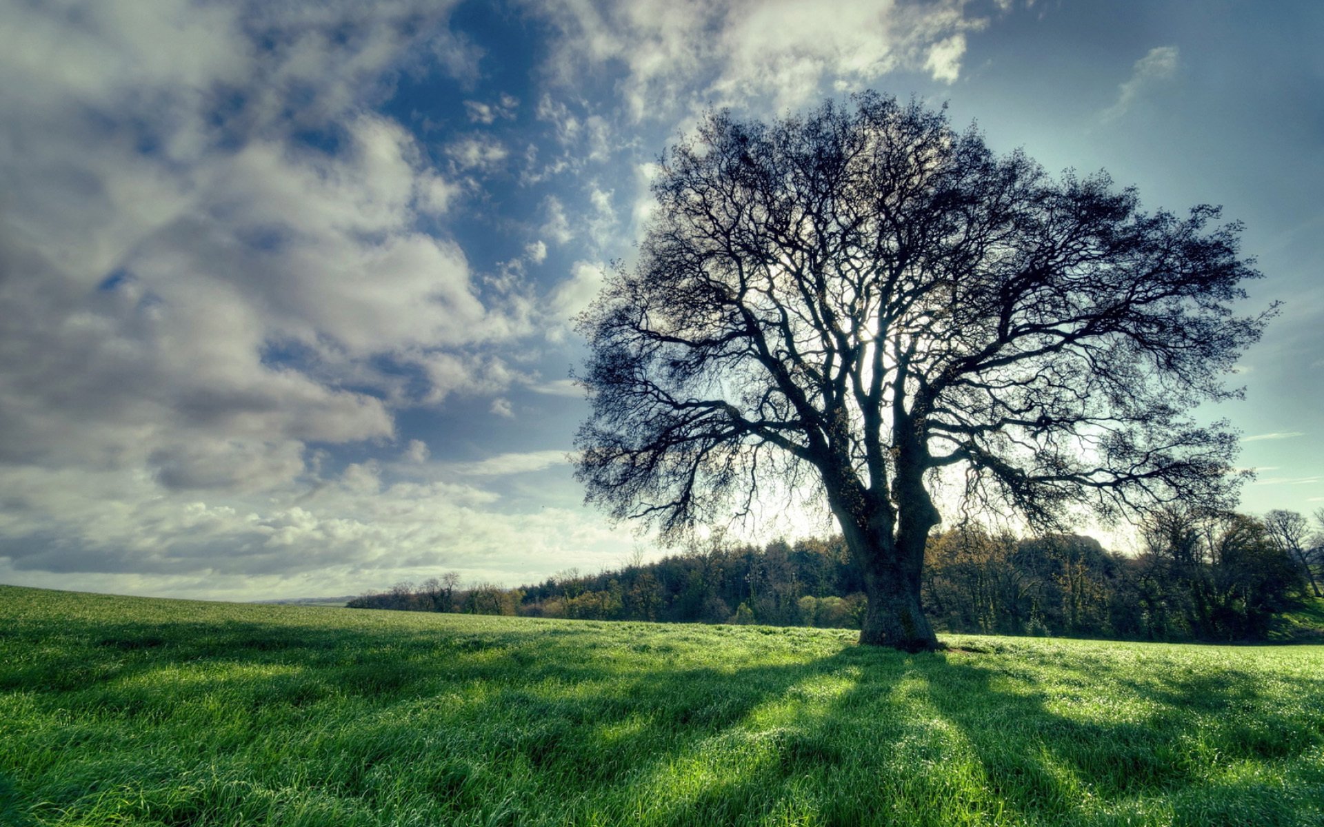 小清新,舒缓压力,风景,草原