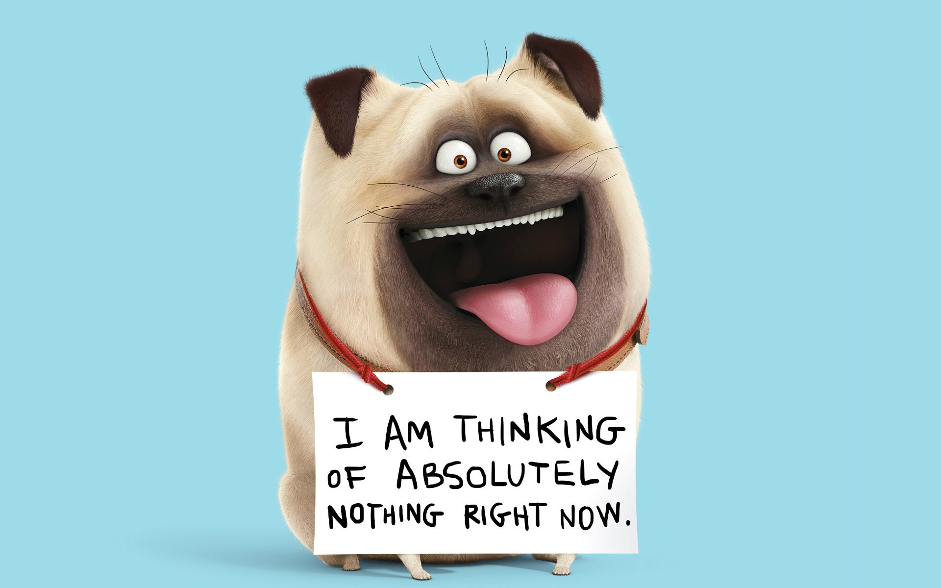 动漫,卡通,爱宠大机密,狗