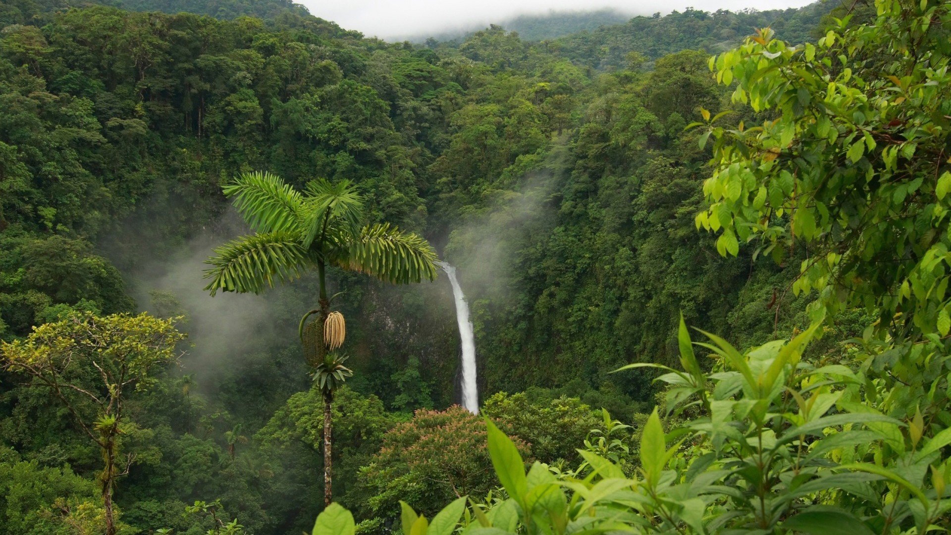 风景,自然风光,瀑布,森林