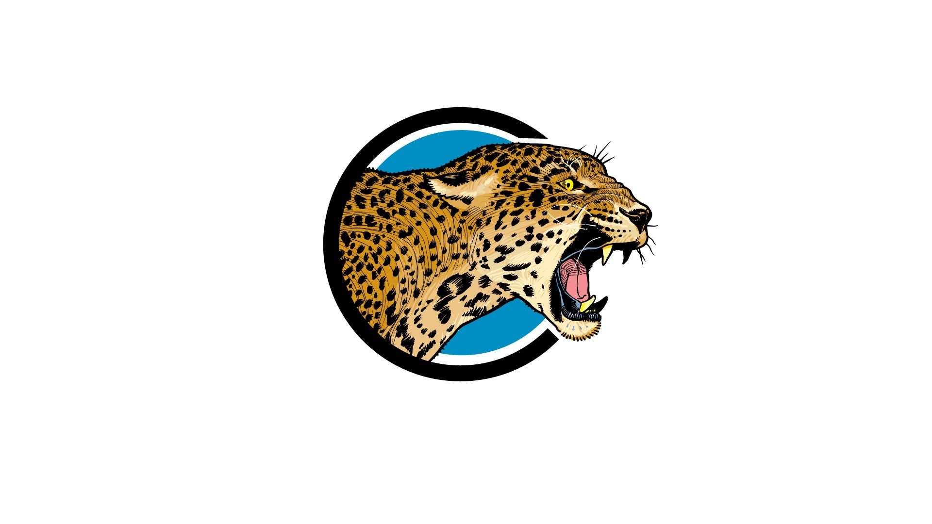 炫酷时尚,动物头像,猎豹