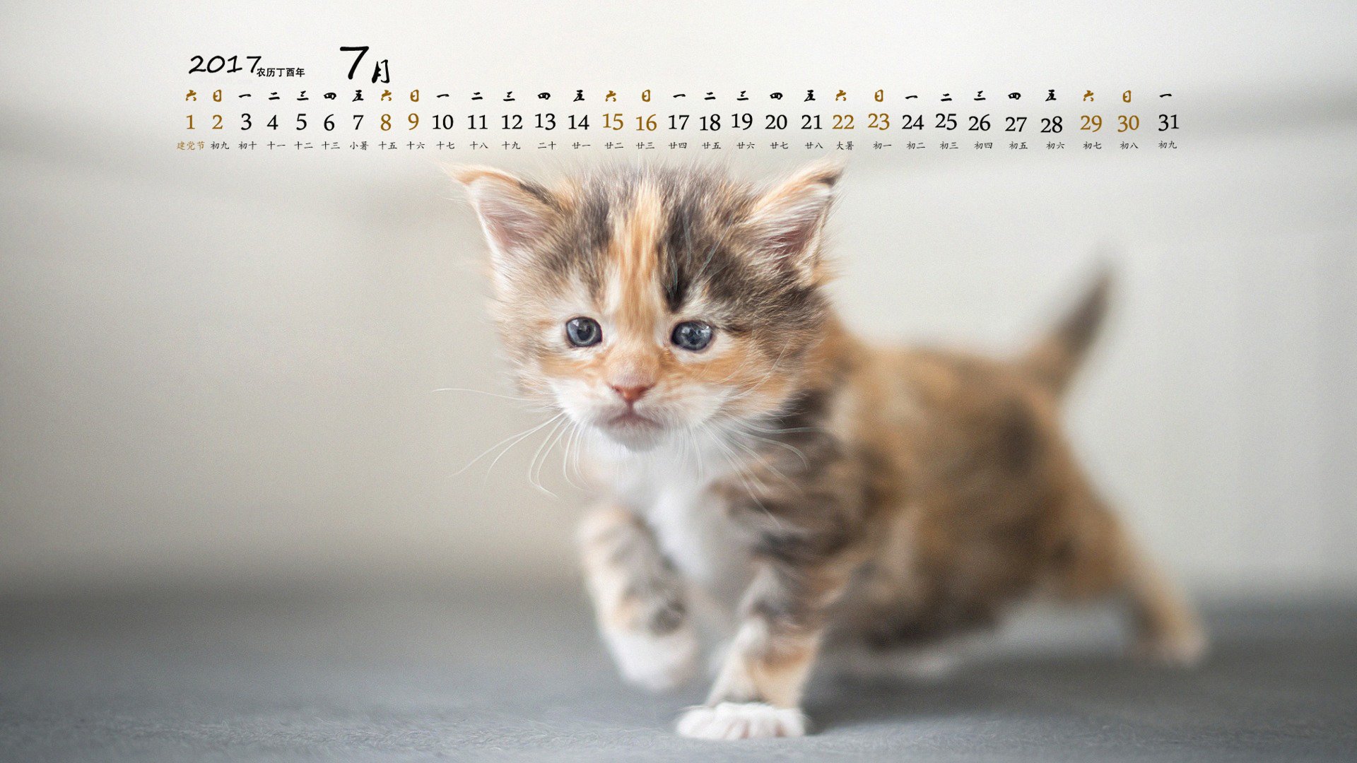 月历壁纸,2017年7月