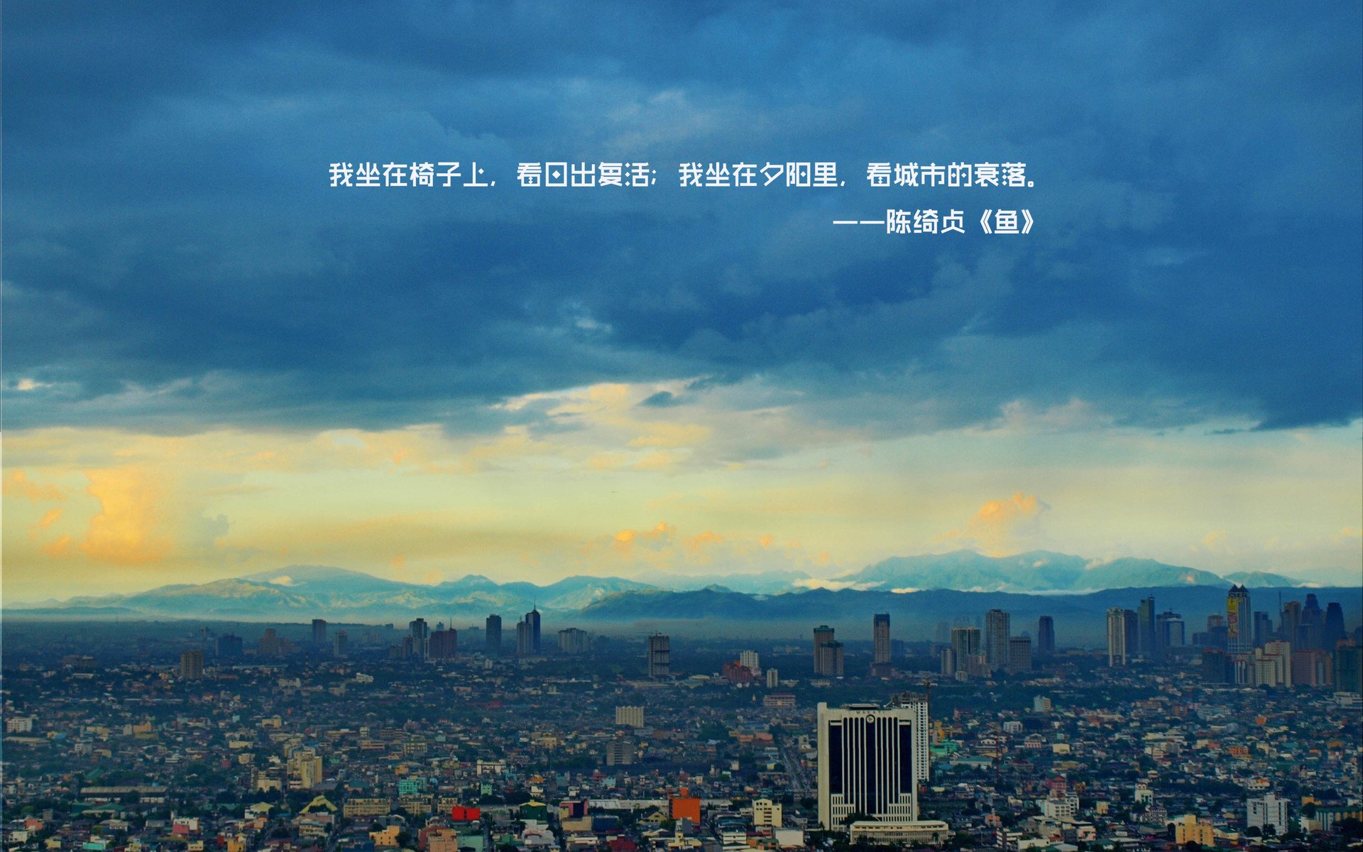 文字,陈绮贞,鱼,经典歌词