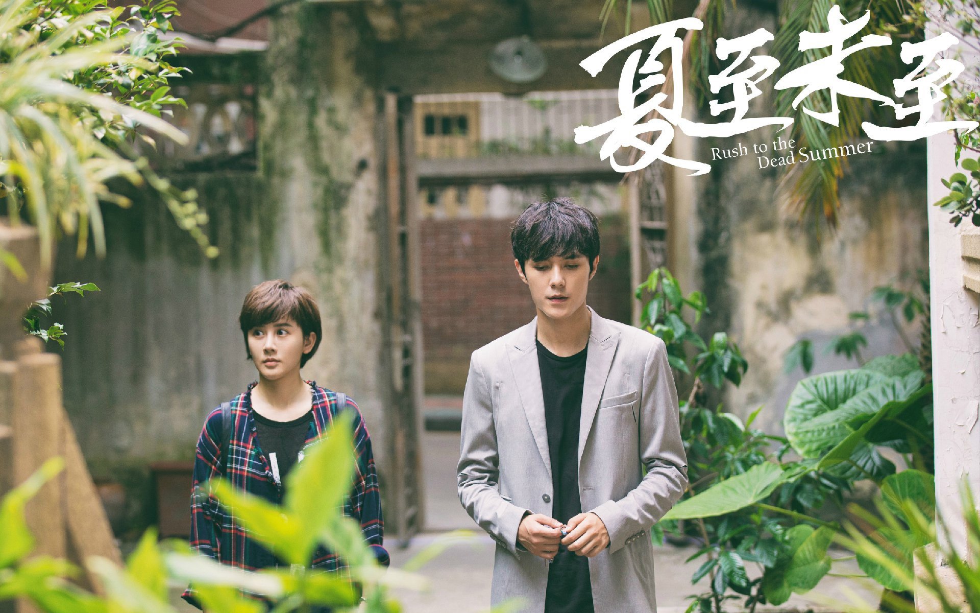 影视,电视剧,夏至未至