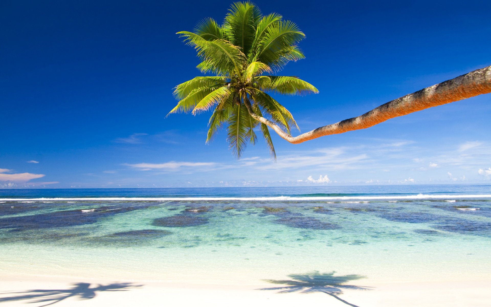 风景,海洋天堂,大海,沙滩,蓝天白云,椰树