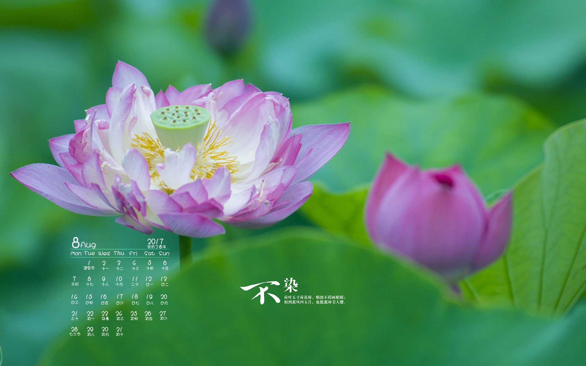 月历,2017年8月