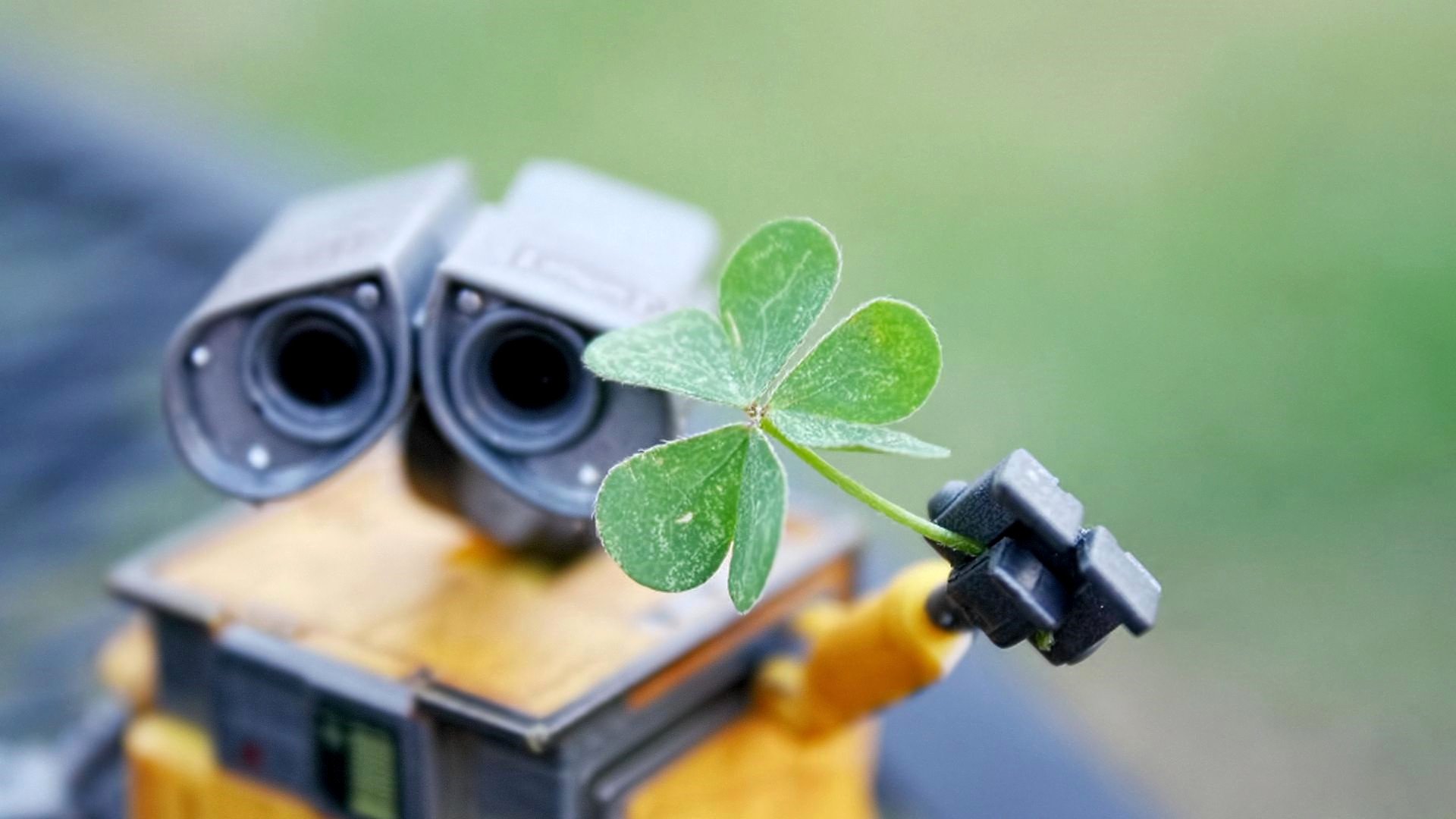 小清新,四叶草,舒缓压力