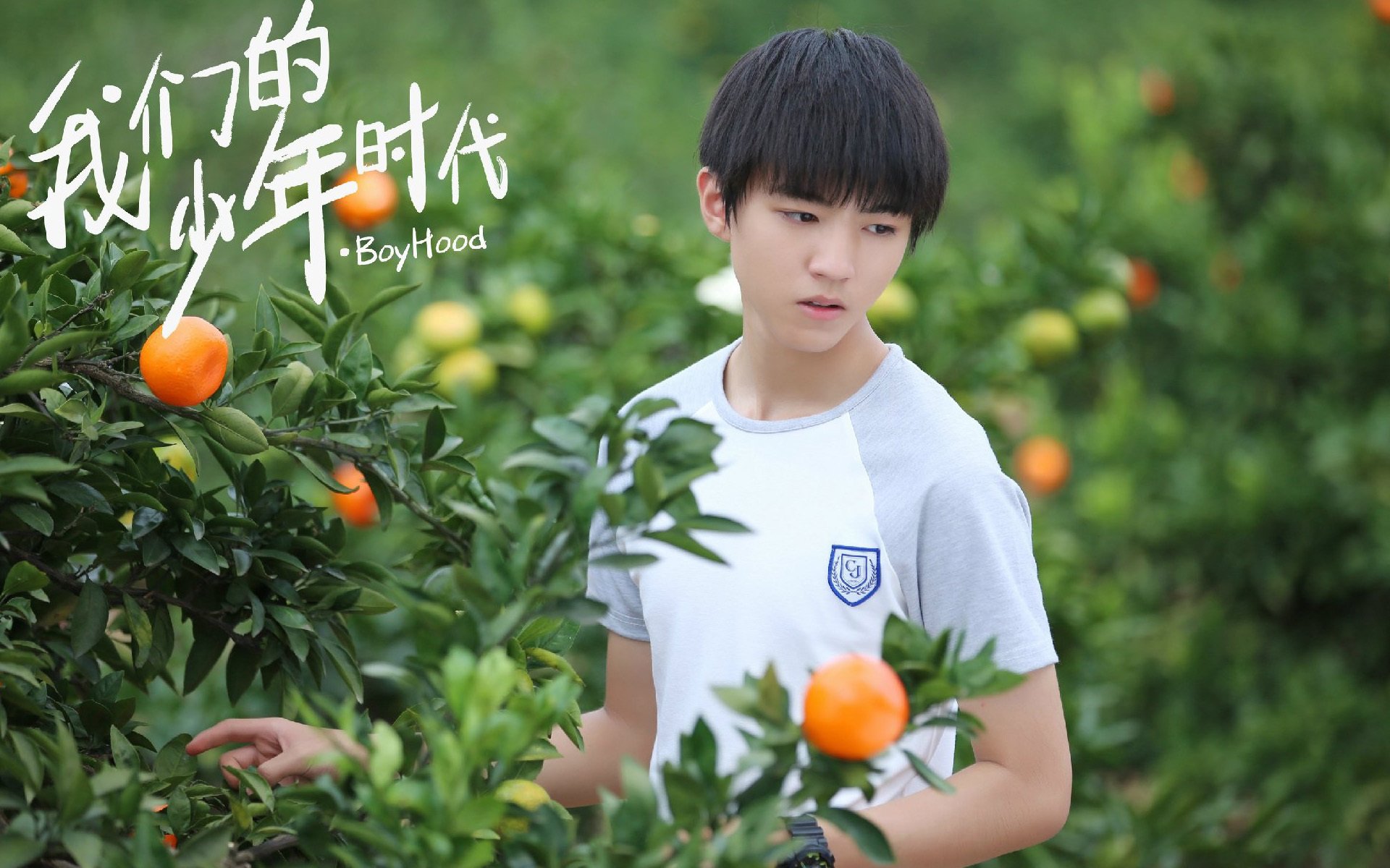 影视,电视剧,我的少年时代,王俊凯,TFBOYS