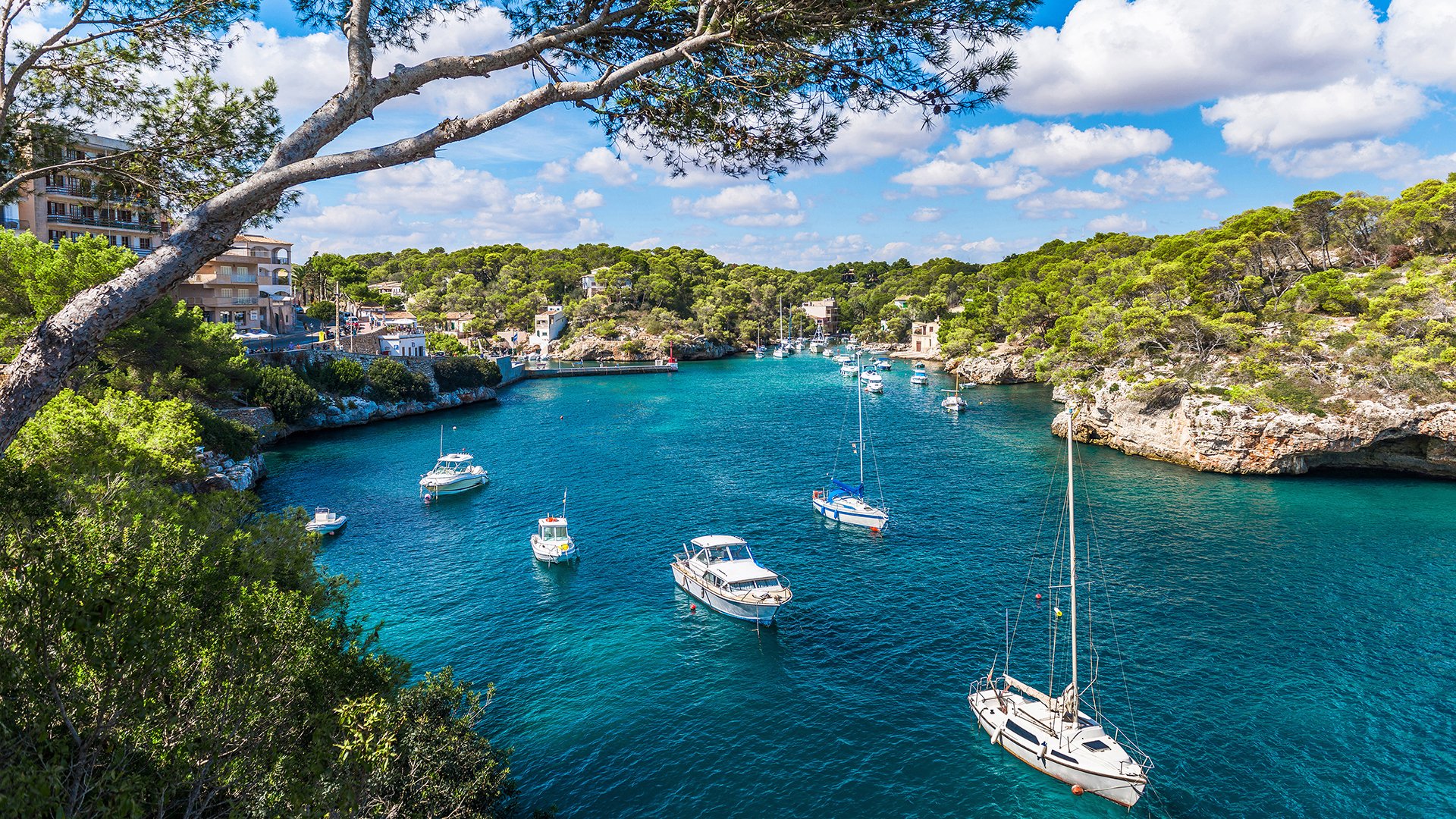 风景,海洋天堂,码头,船只,游艇