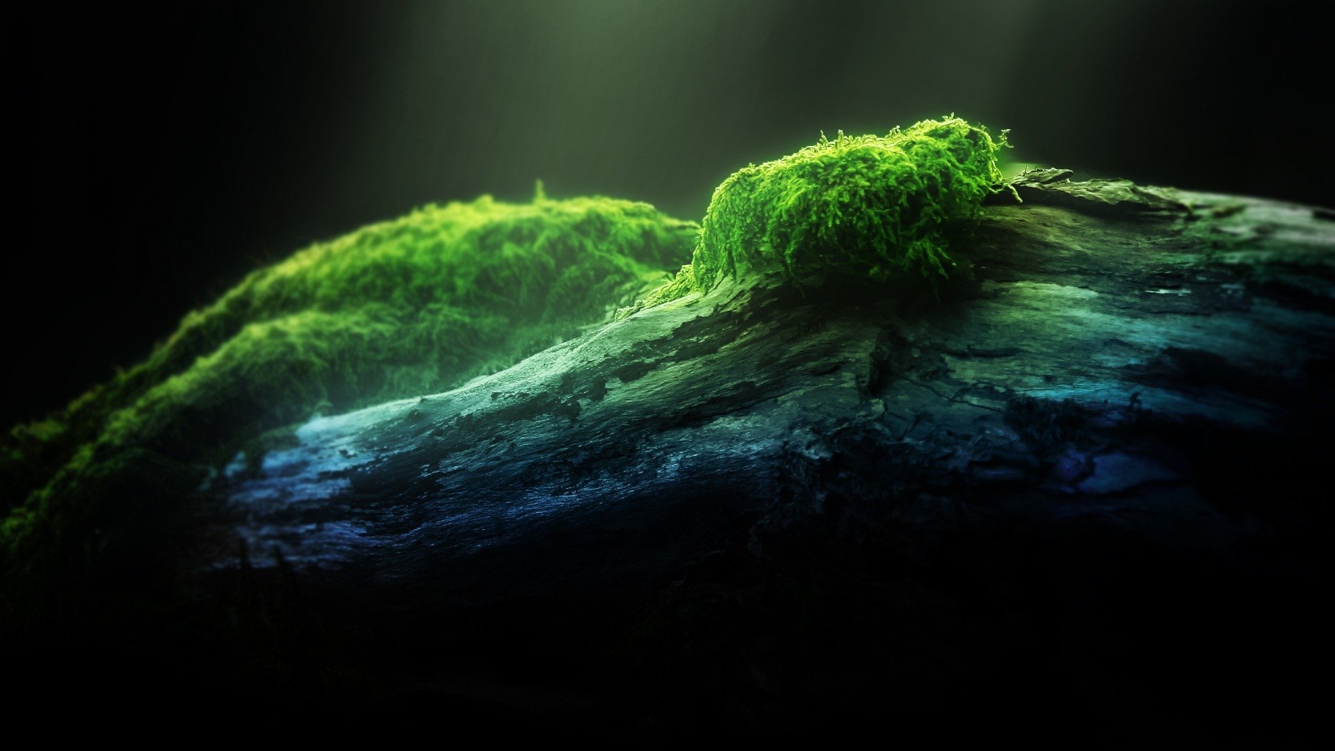 小清新,青苔,清新淡雅