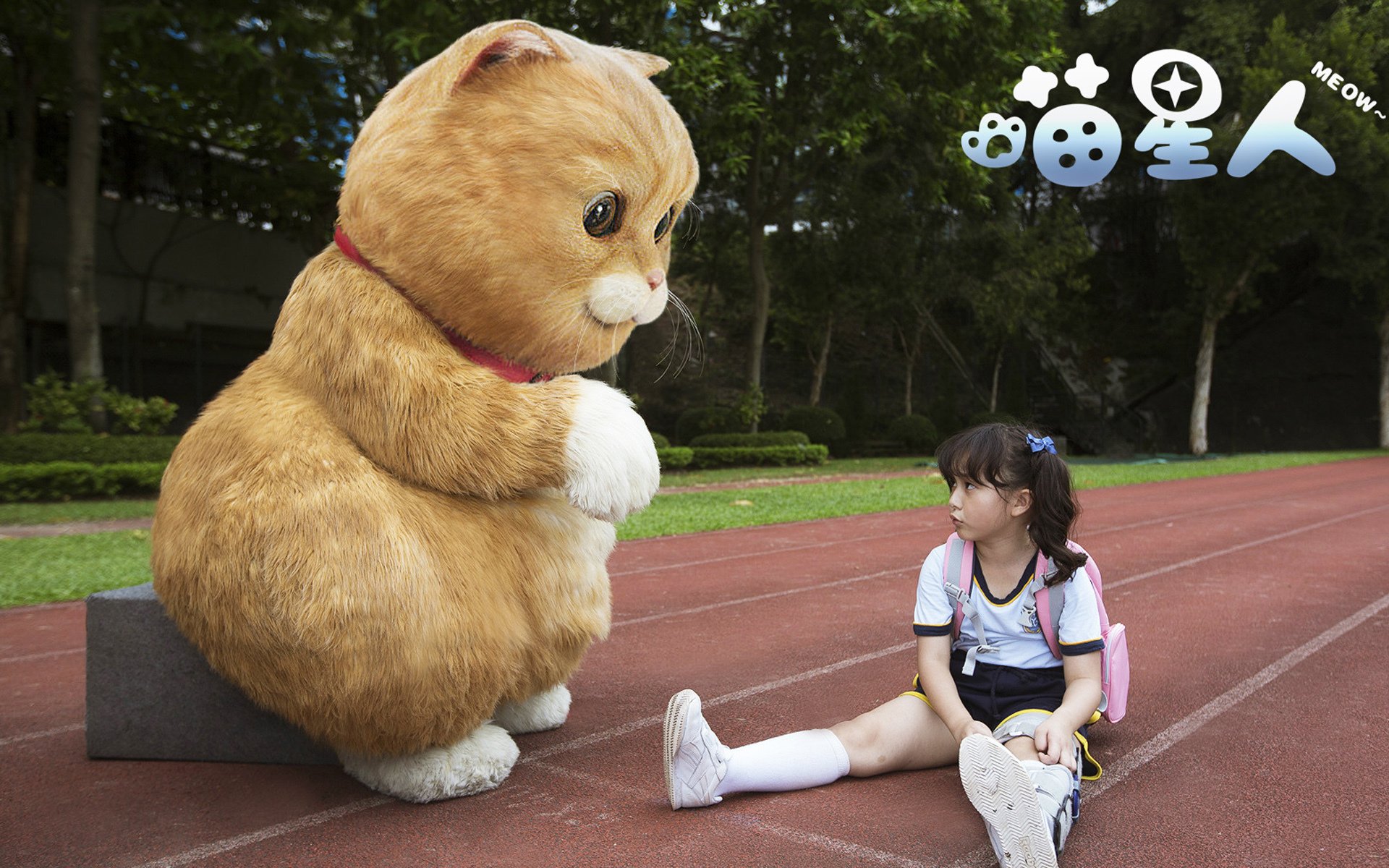 影视,电影,喵星人