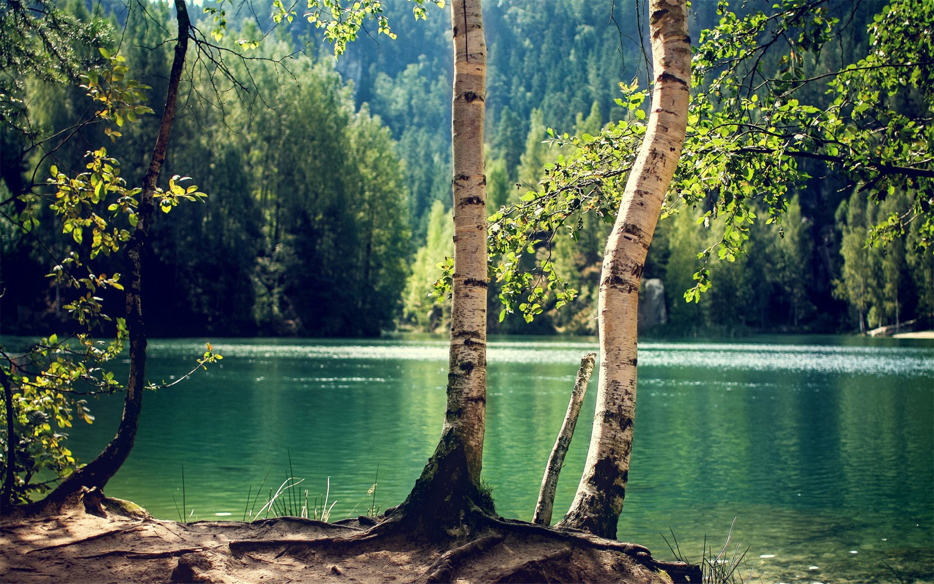 风景,自然风光,树木,湖泊