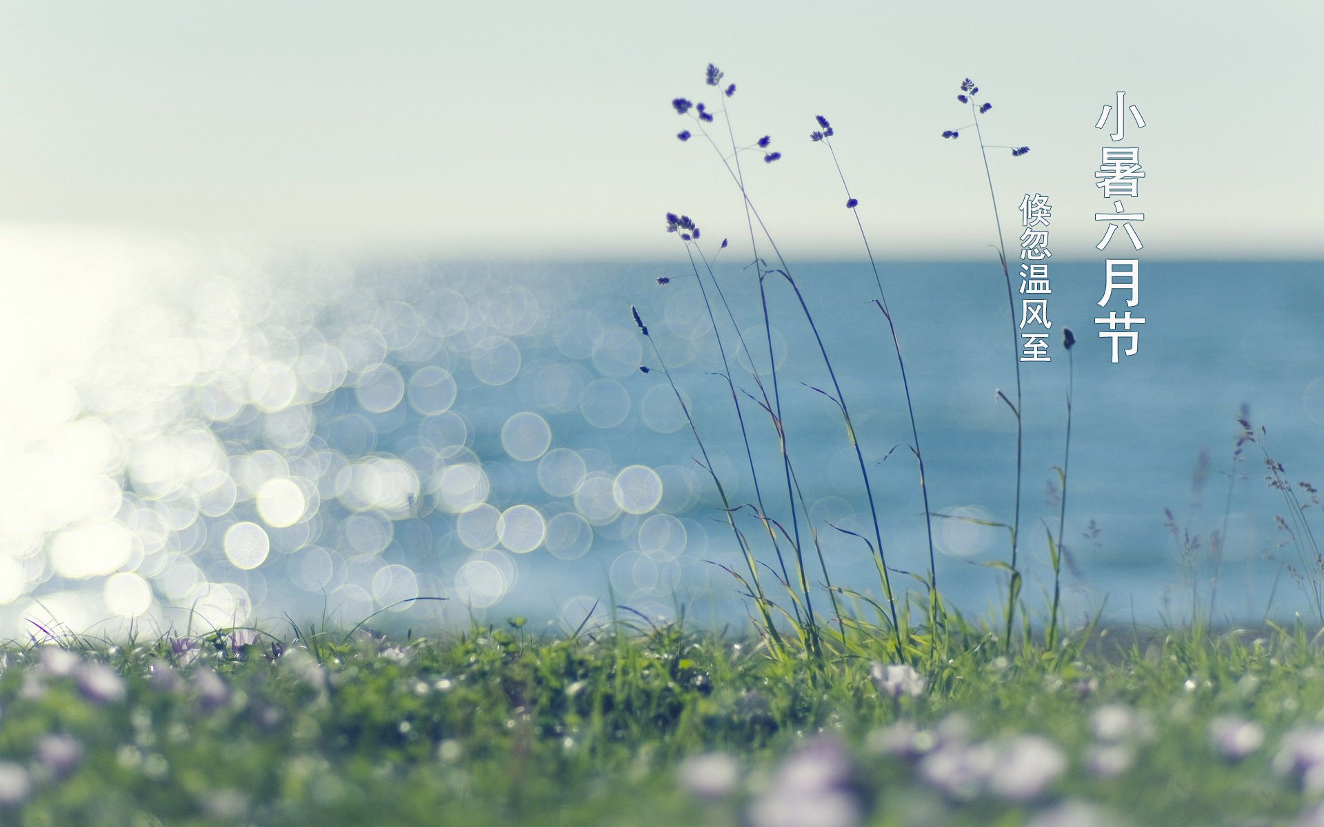 节气,二十四节气,小暑