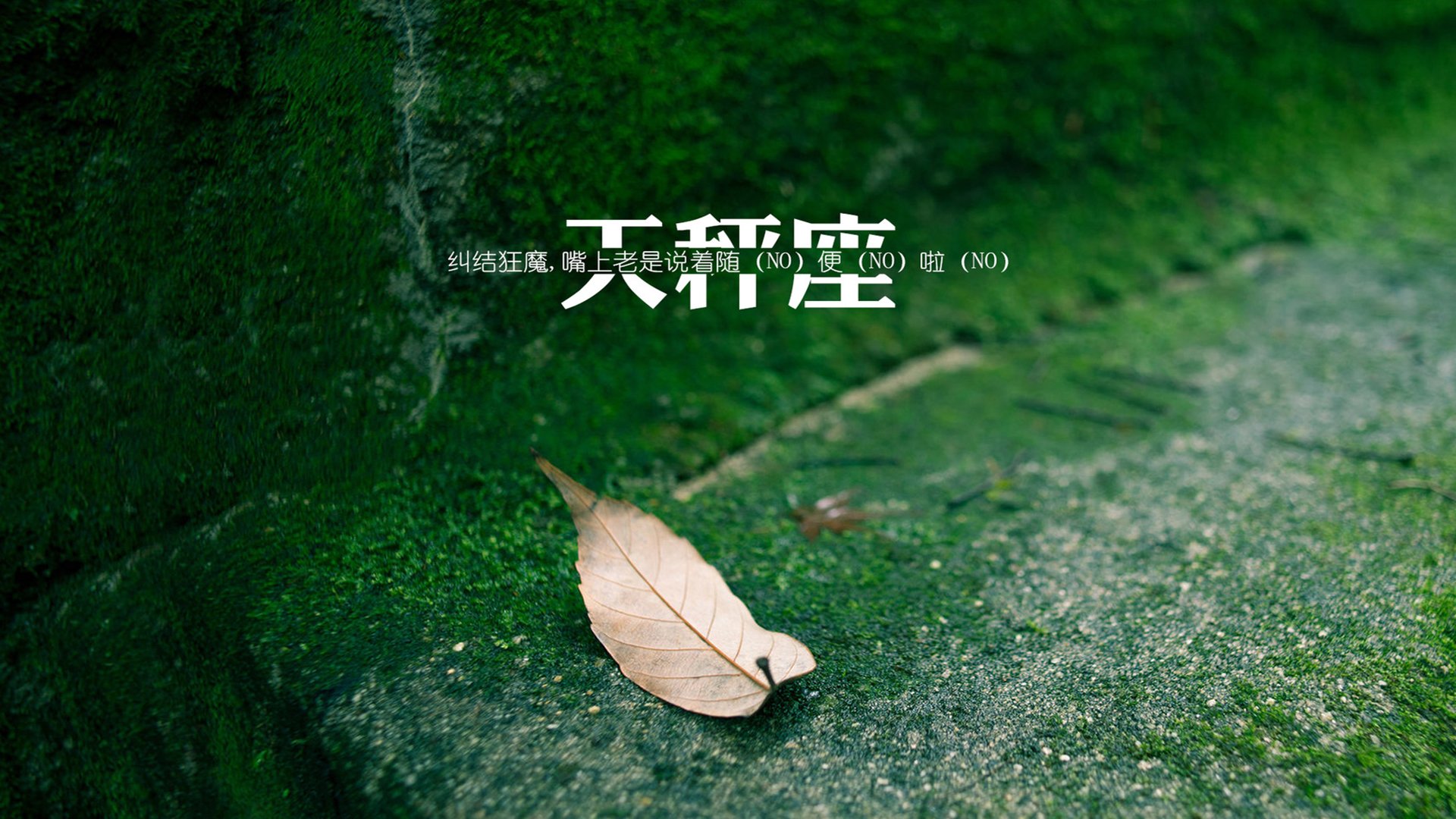 文字,天平座,星座