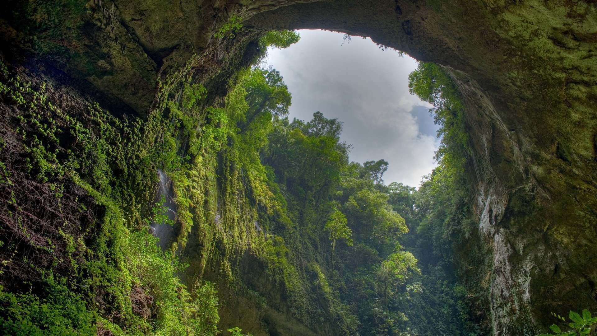 风景,自然风光,森林,山川,山脉
