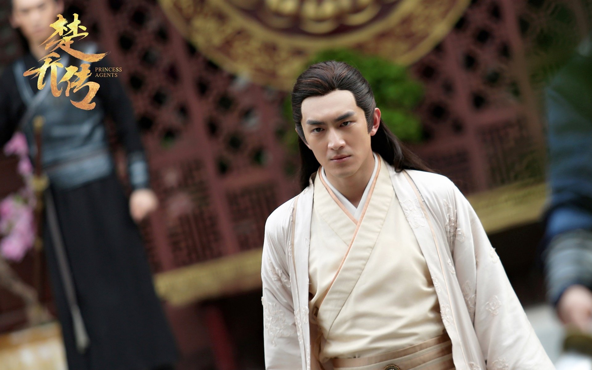 影视,电视剧,楚乔传,林更新