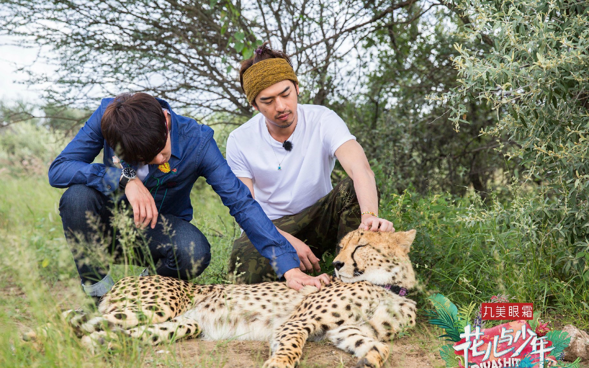 影视,综艺,花儿与少年第三季,陈柏霖