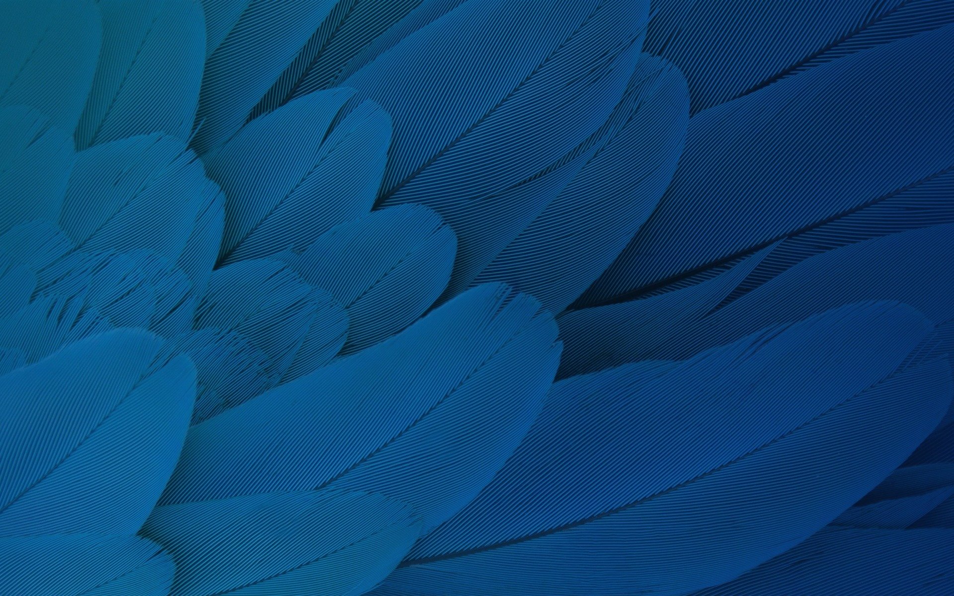 炫酷时尚,色彩,纹理