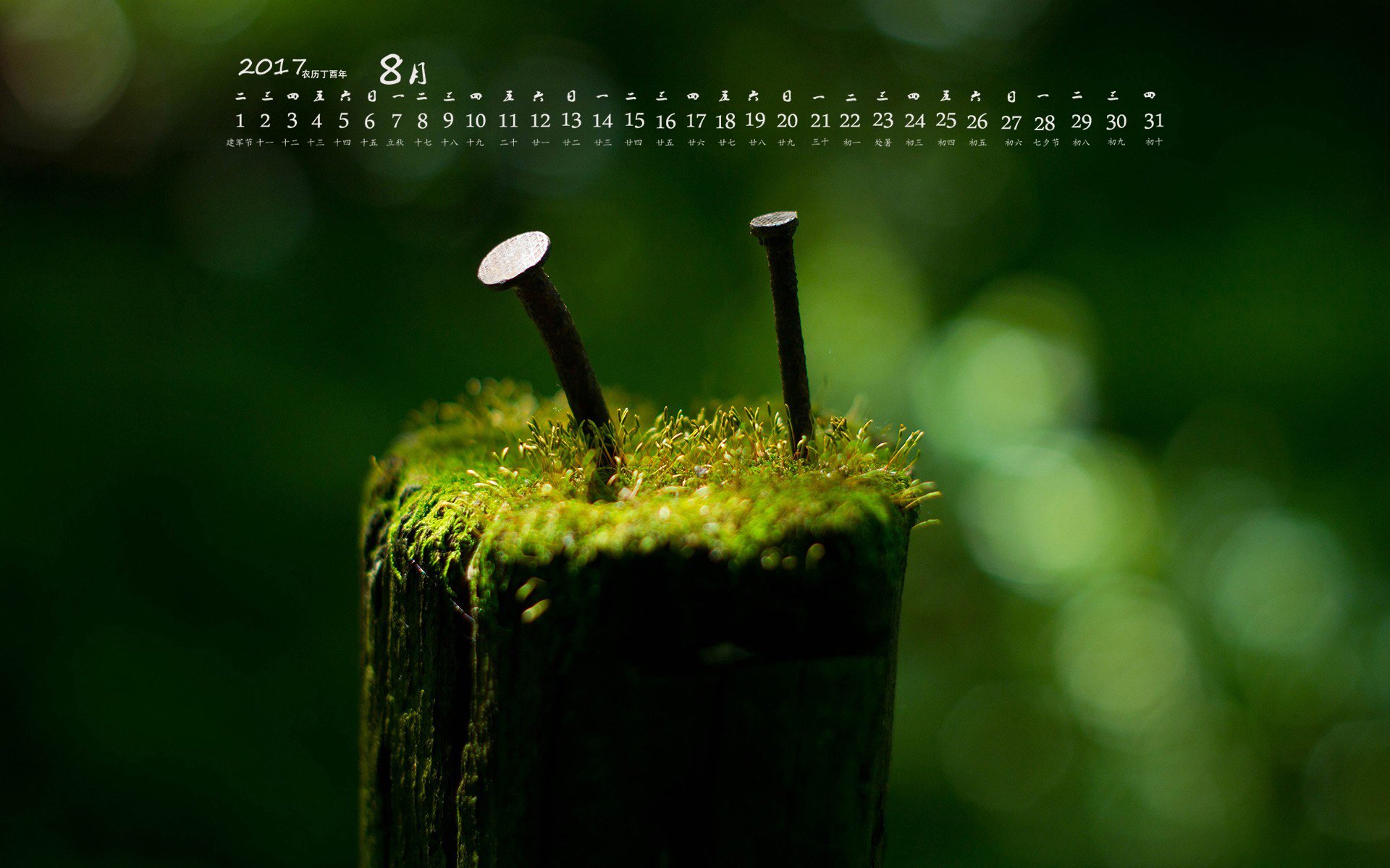 月历,2017年8月