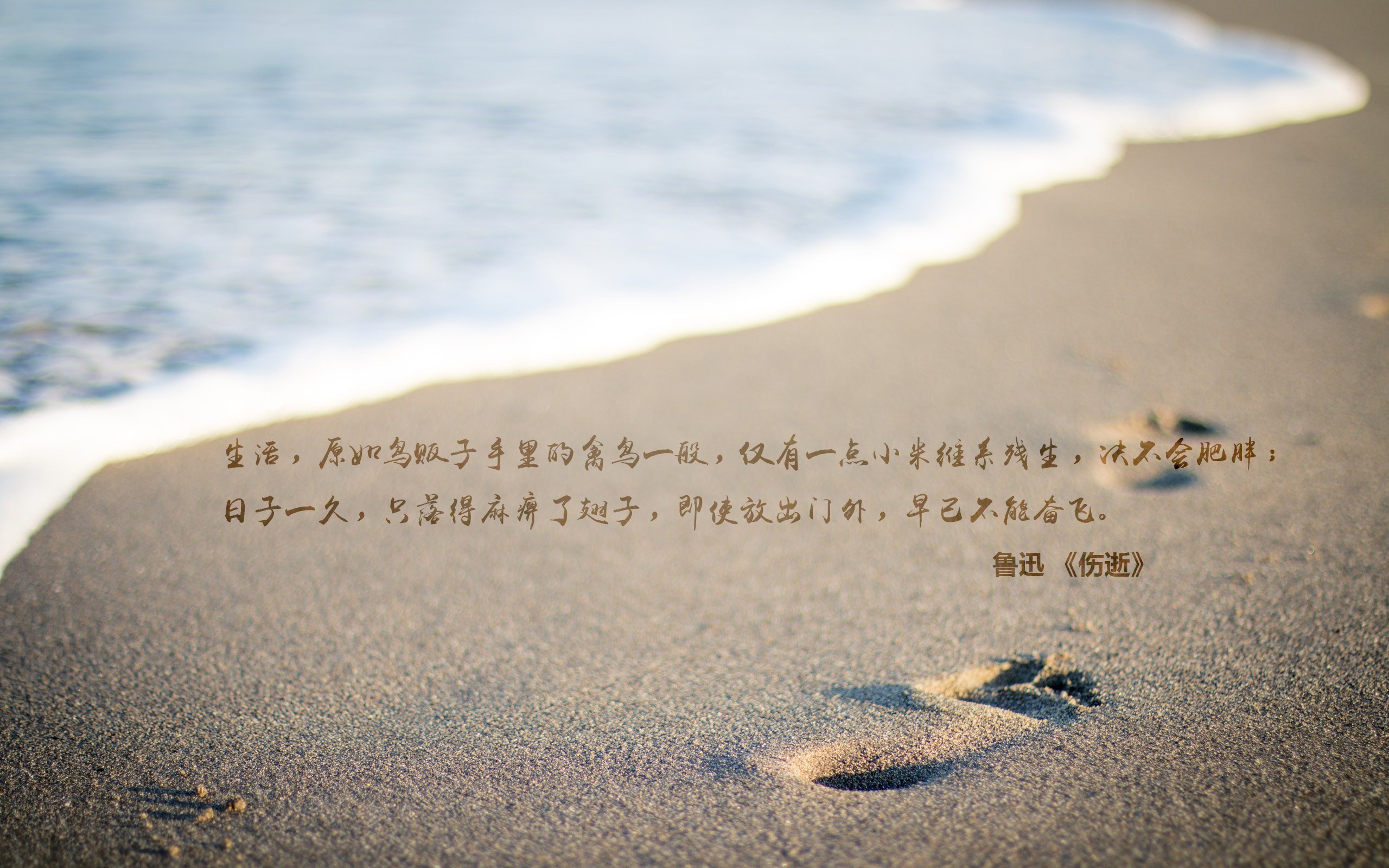 文字,语录,鲁迅,伤逝