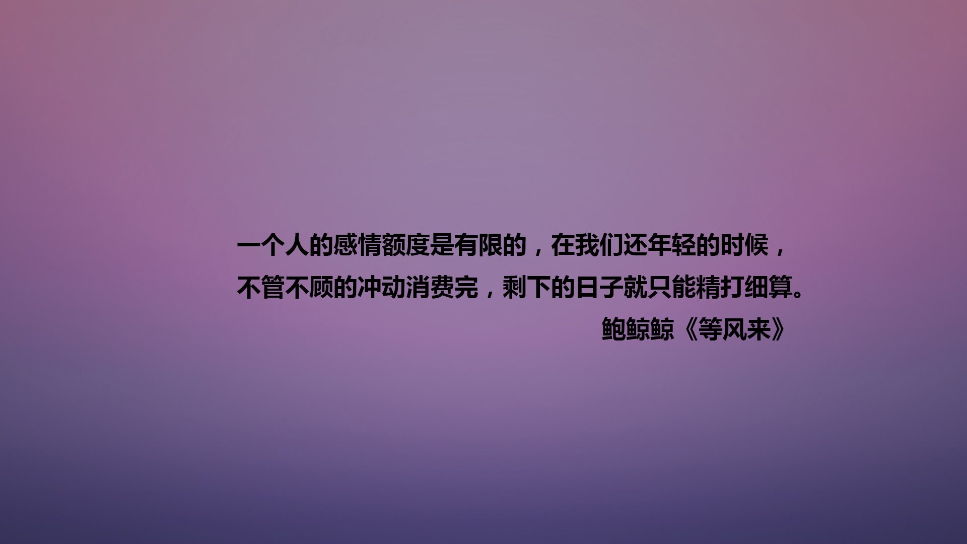 文字,语录,鲍鲸鲸,等风来