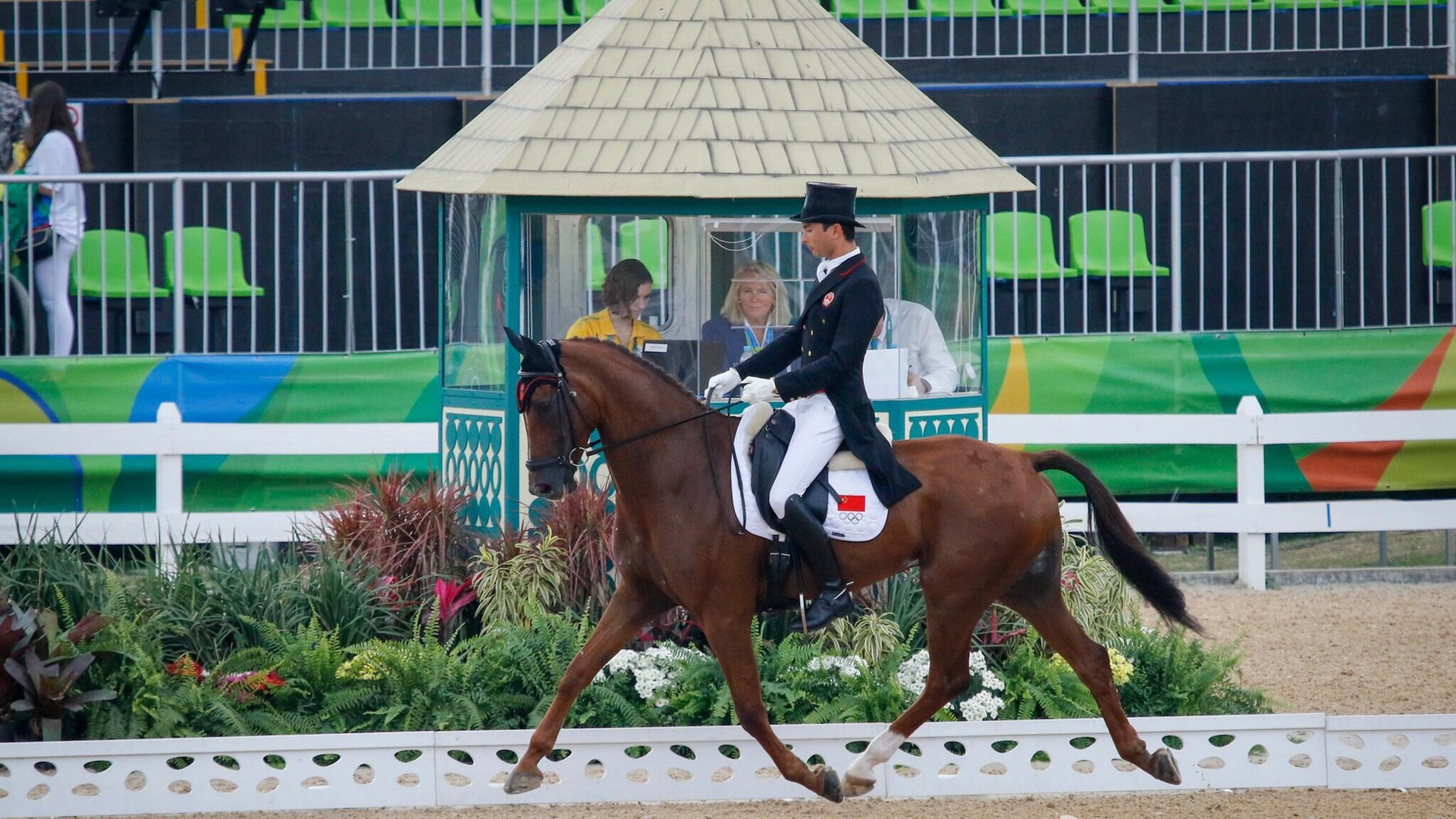 体育,运动,华天,马术比赛