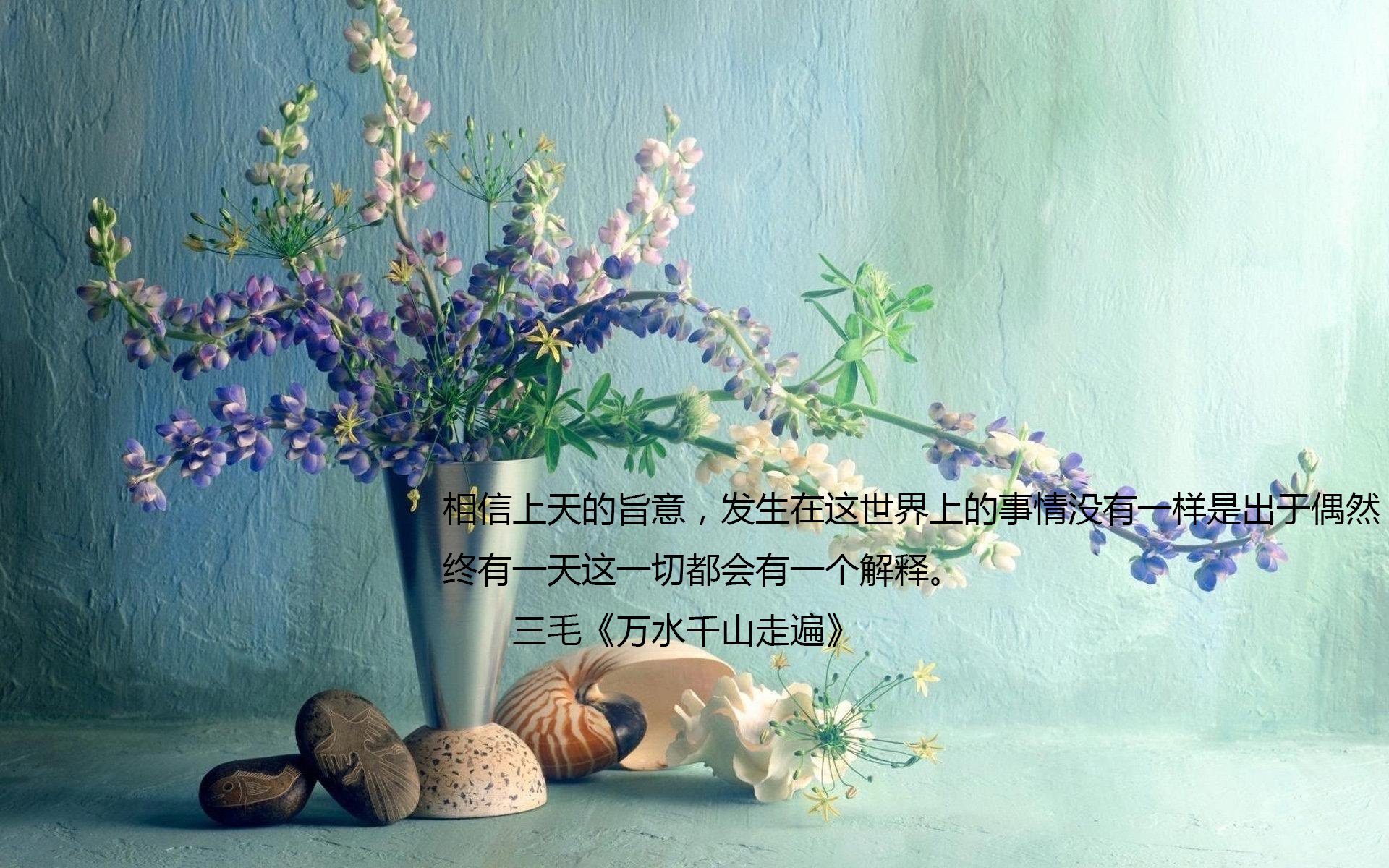 文字,语录,三毛,万水千山走遍